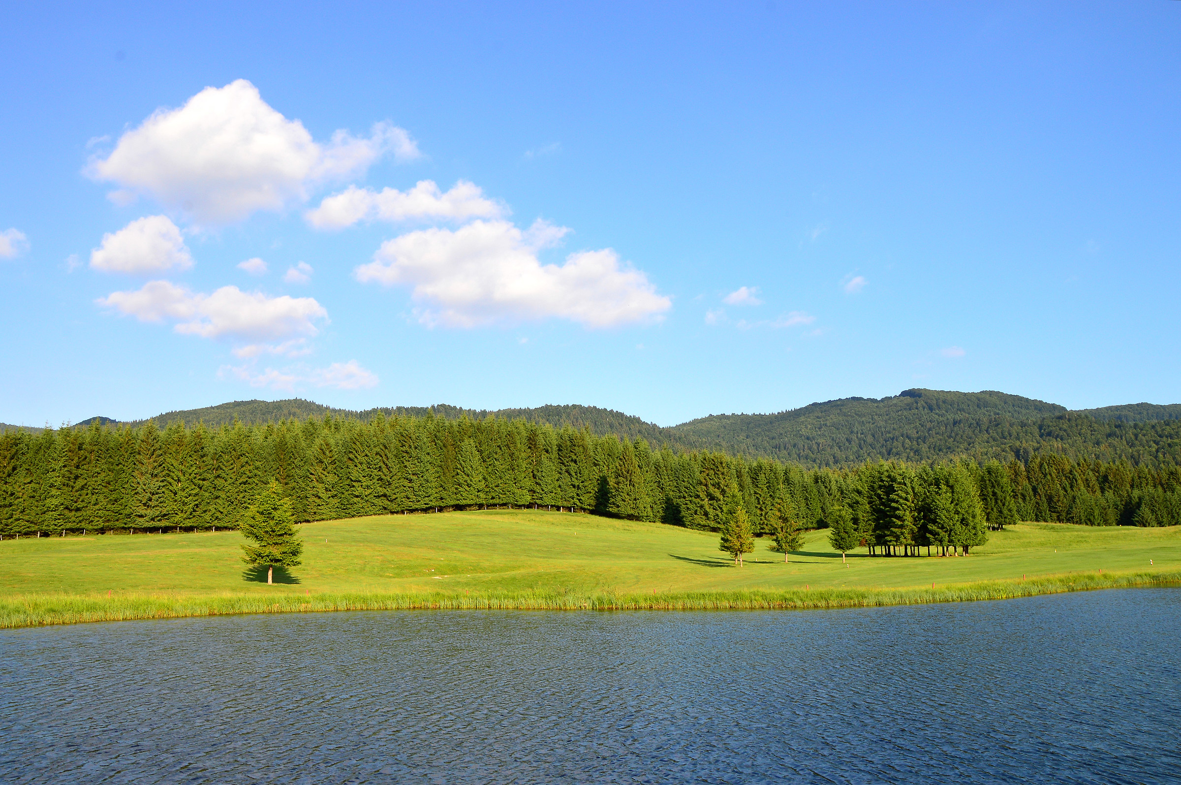 The colors of each one