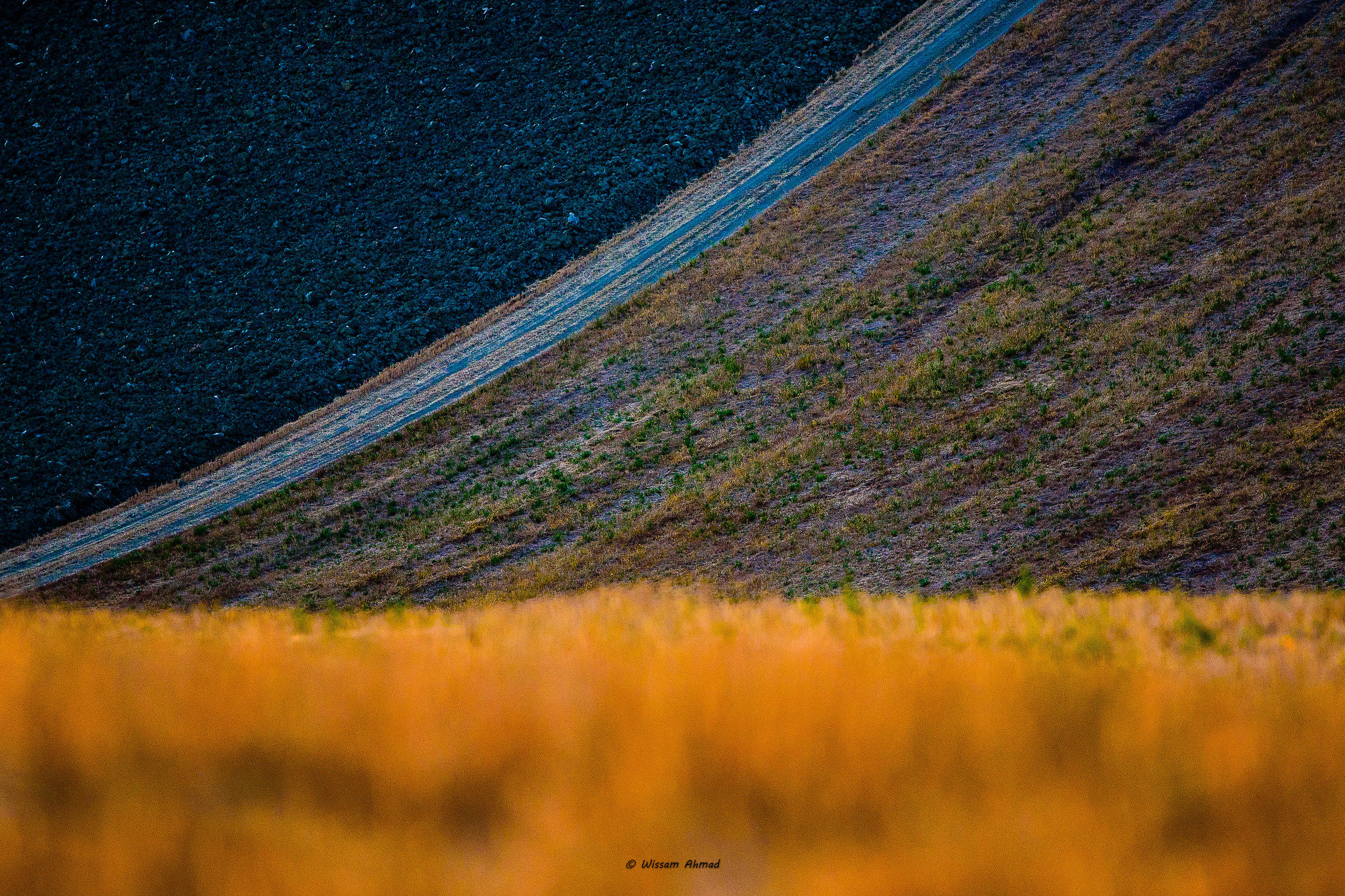 Foto alla Franco Fontana sulle colline marchigiane!