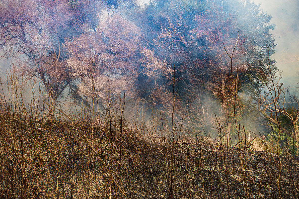 Environmental Stupro