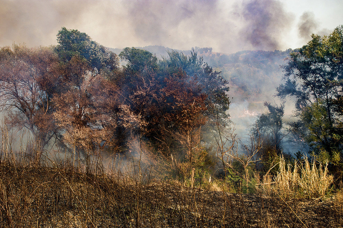 Environmental Stupro