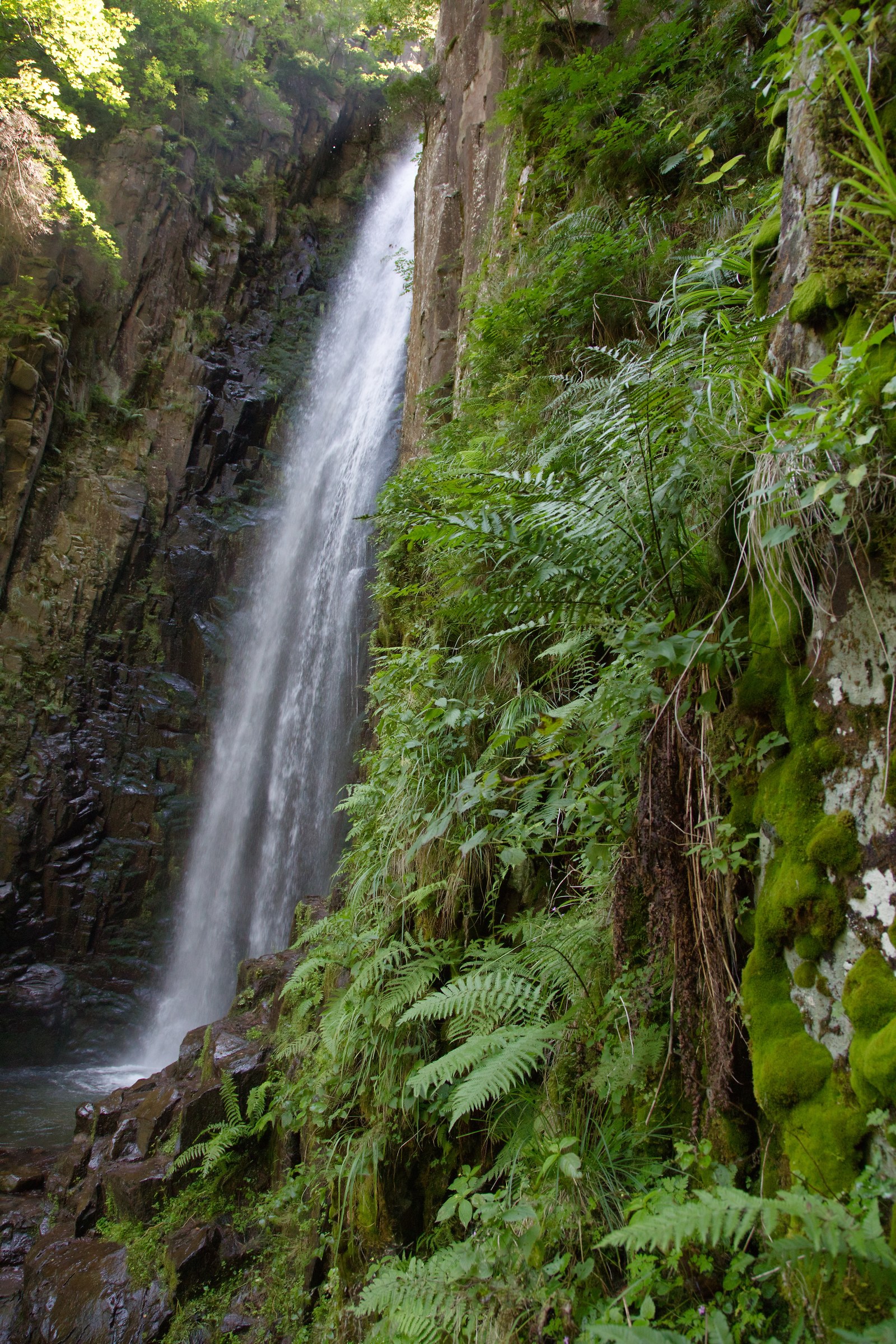 Lupo waterfall, Val di Sembra, Trentino