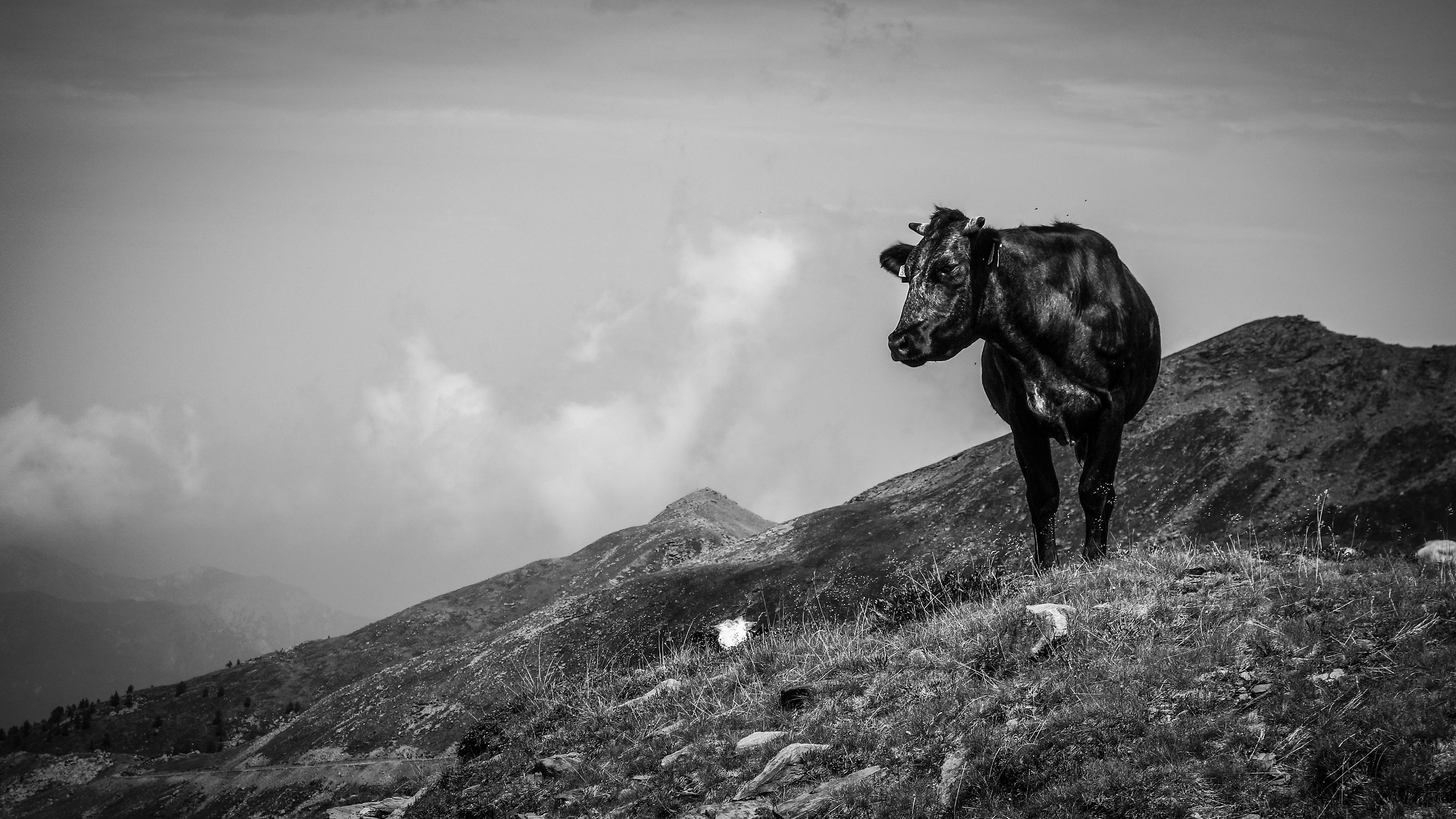 Walking towards the Cialancia Pass (Germanasca Valley)
