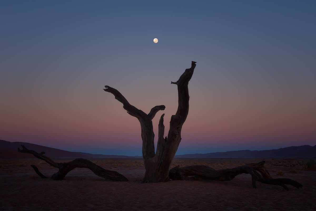 Kidnapped by the moon