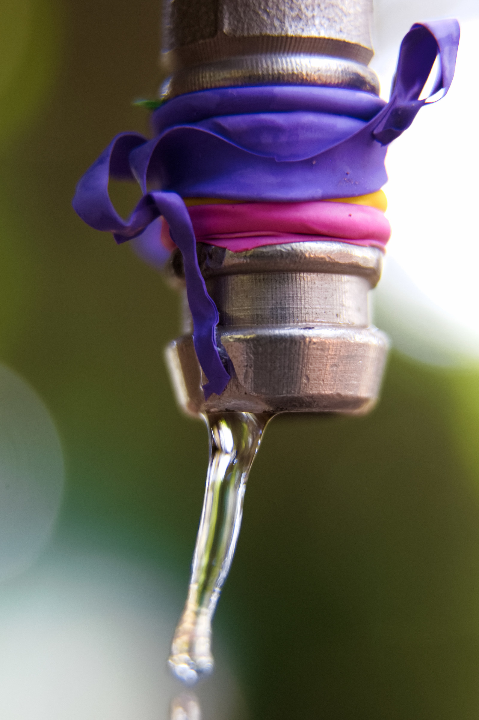 Summer and gavettnoi