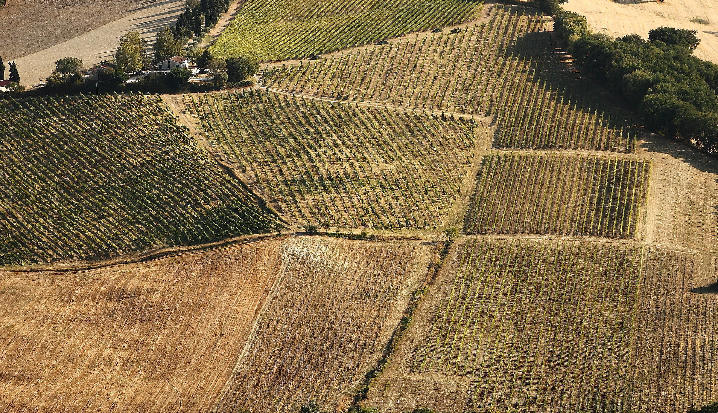 The campaign is thirsty