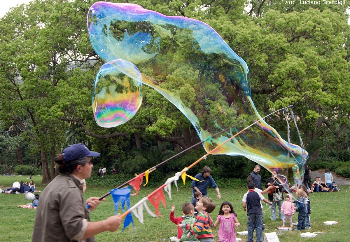 Una domenica al parco,MG_4726