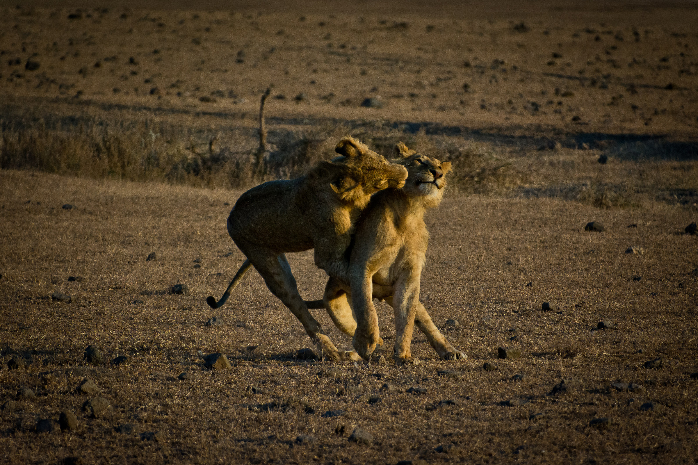 Another moment of play