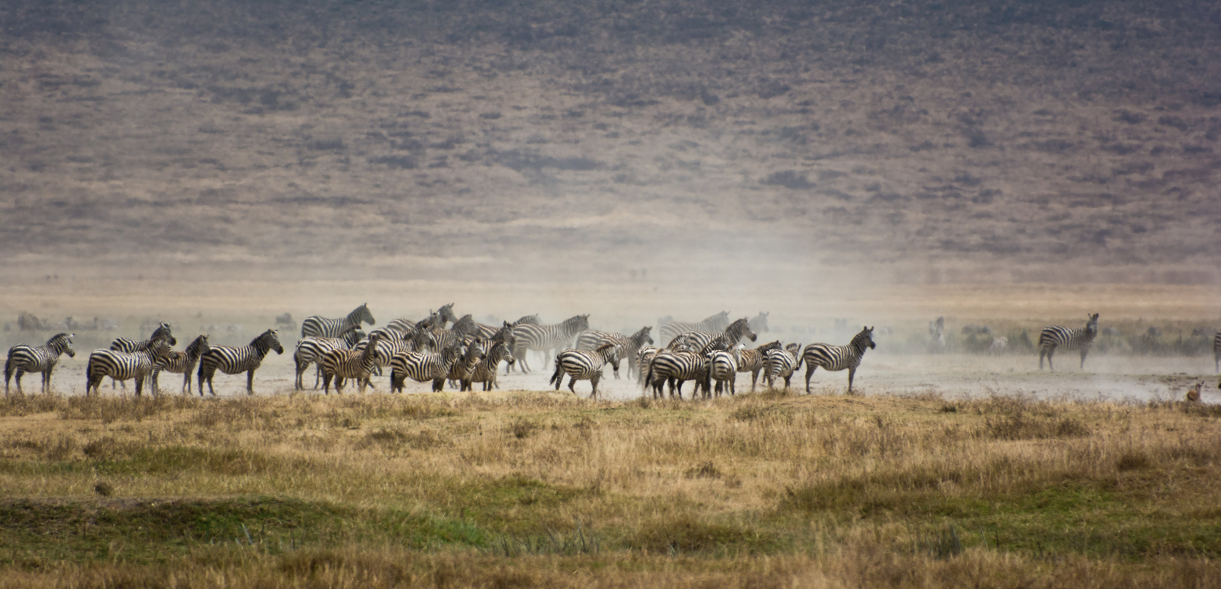 Moments of hustle and bustle