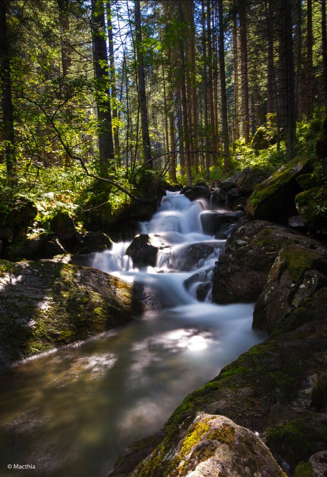 Torrente_lago dei Caprioli
