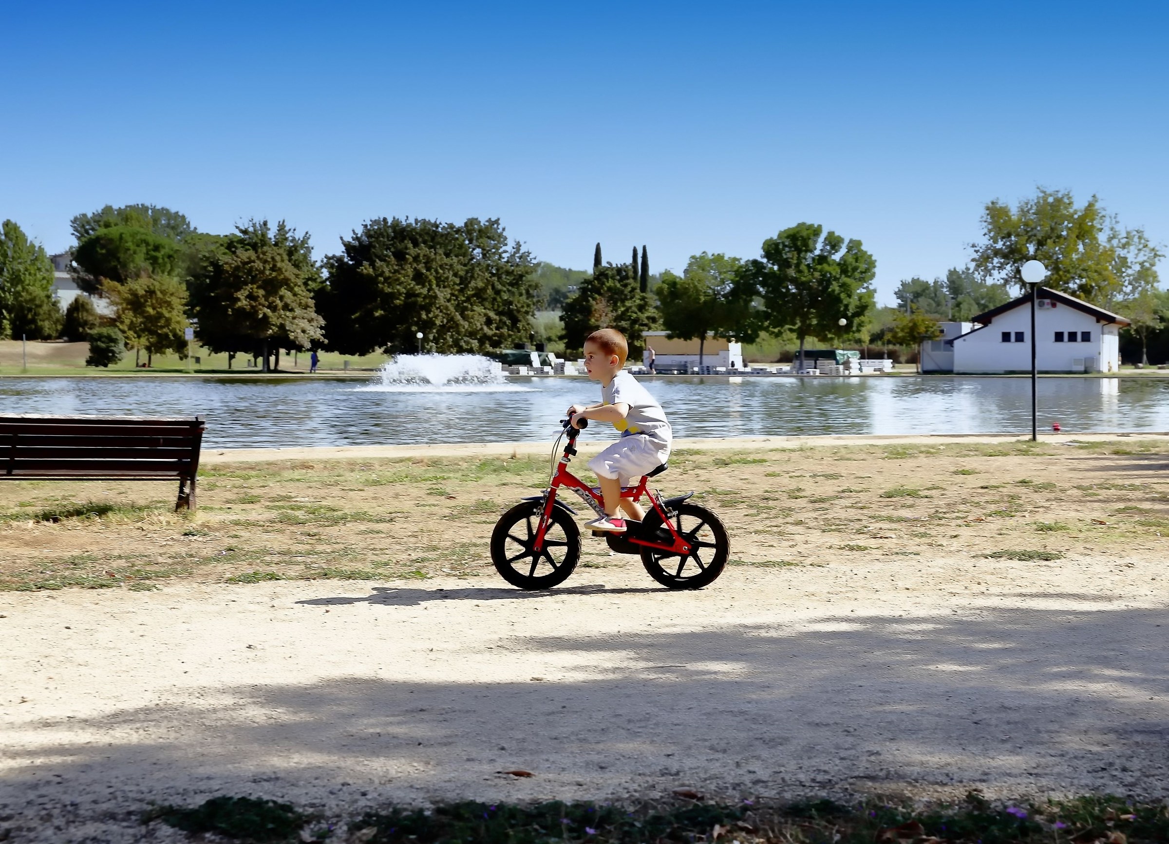 Small phenomenon of four years at the pond