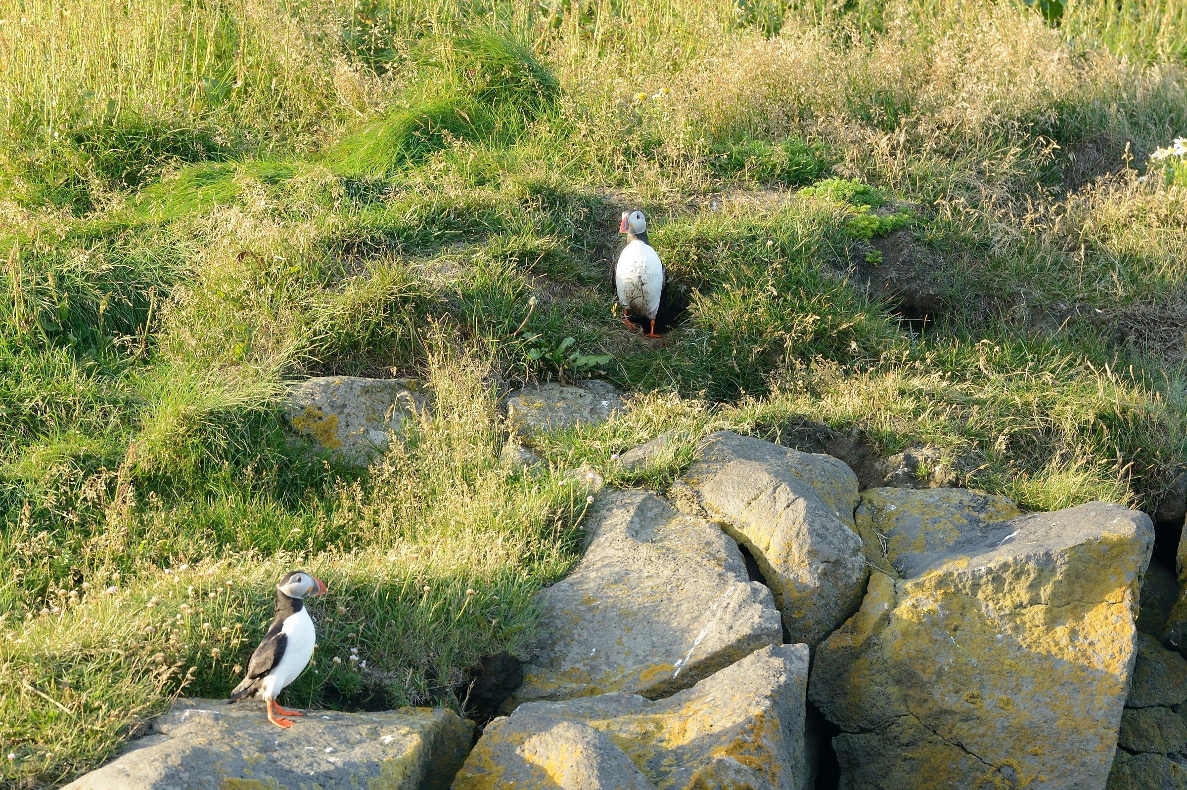 ..bulb before entering !!!