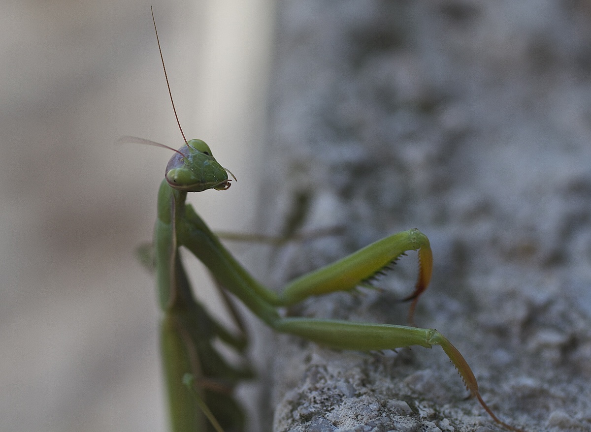 ... those who talii ...