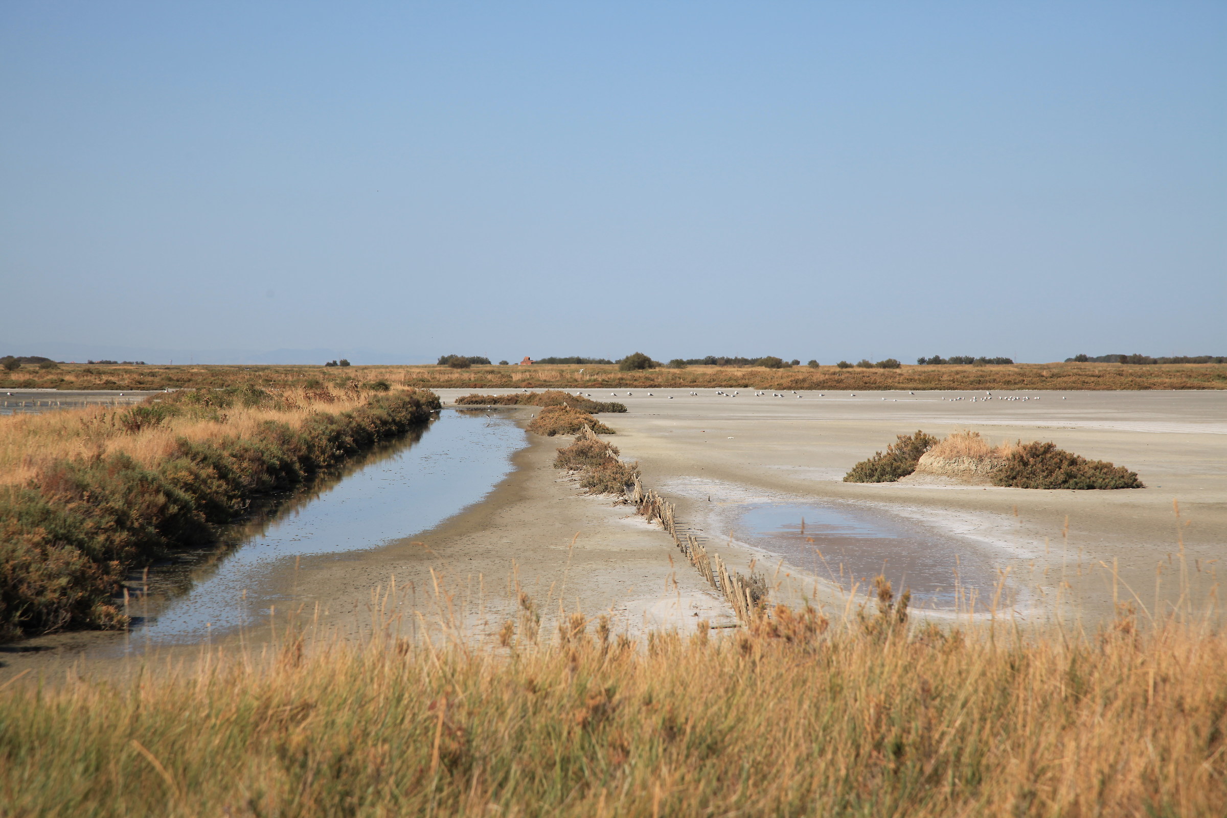salina di comacchio