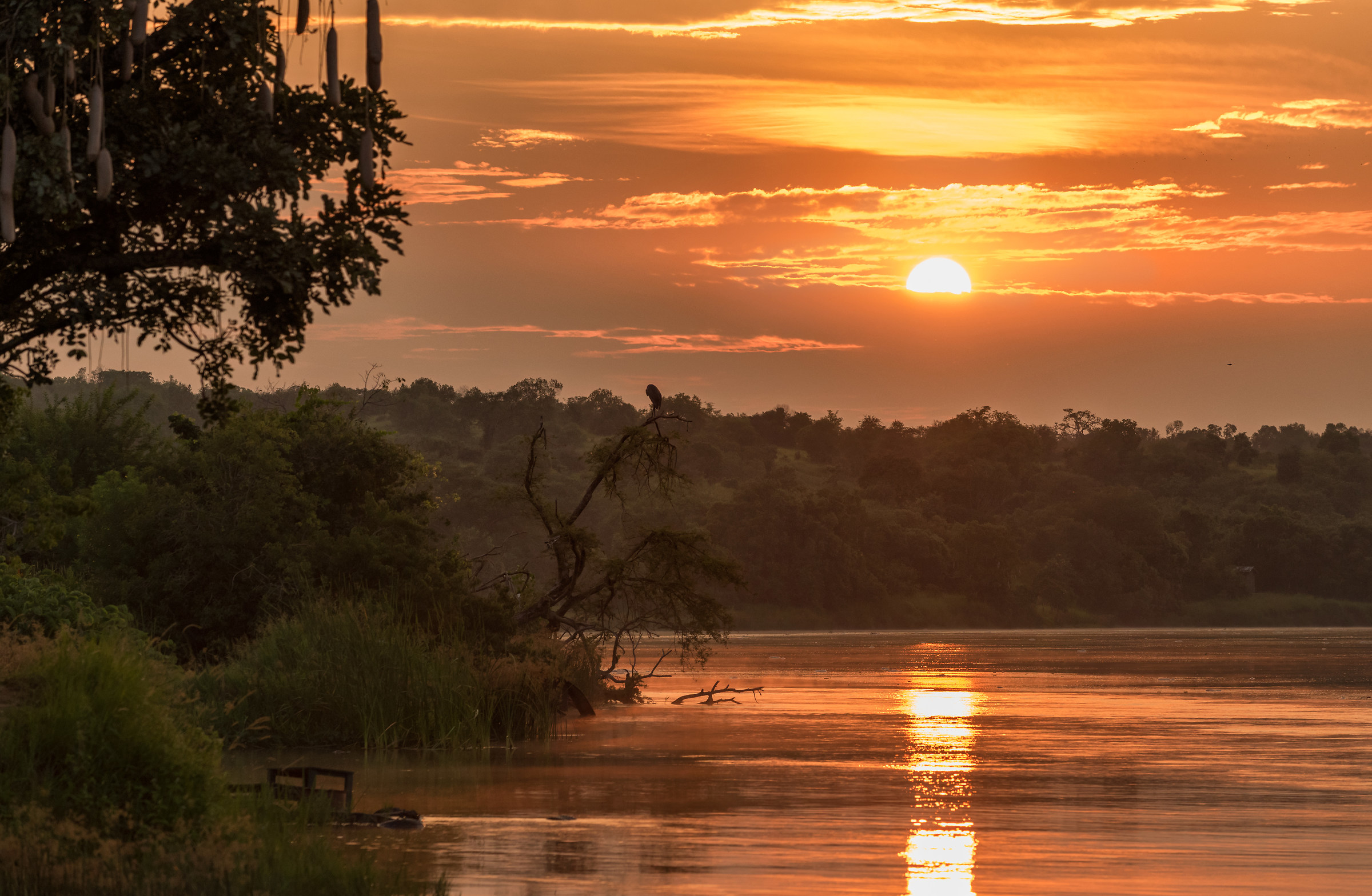 Alba sul Nilo,Uganda