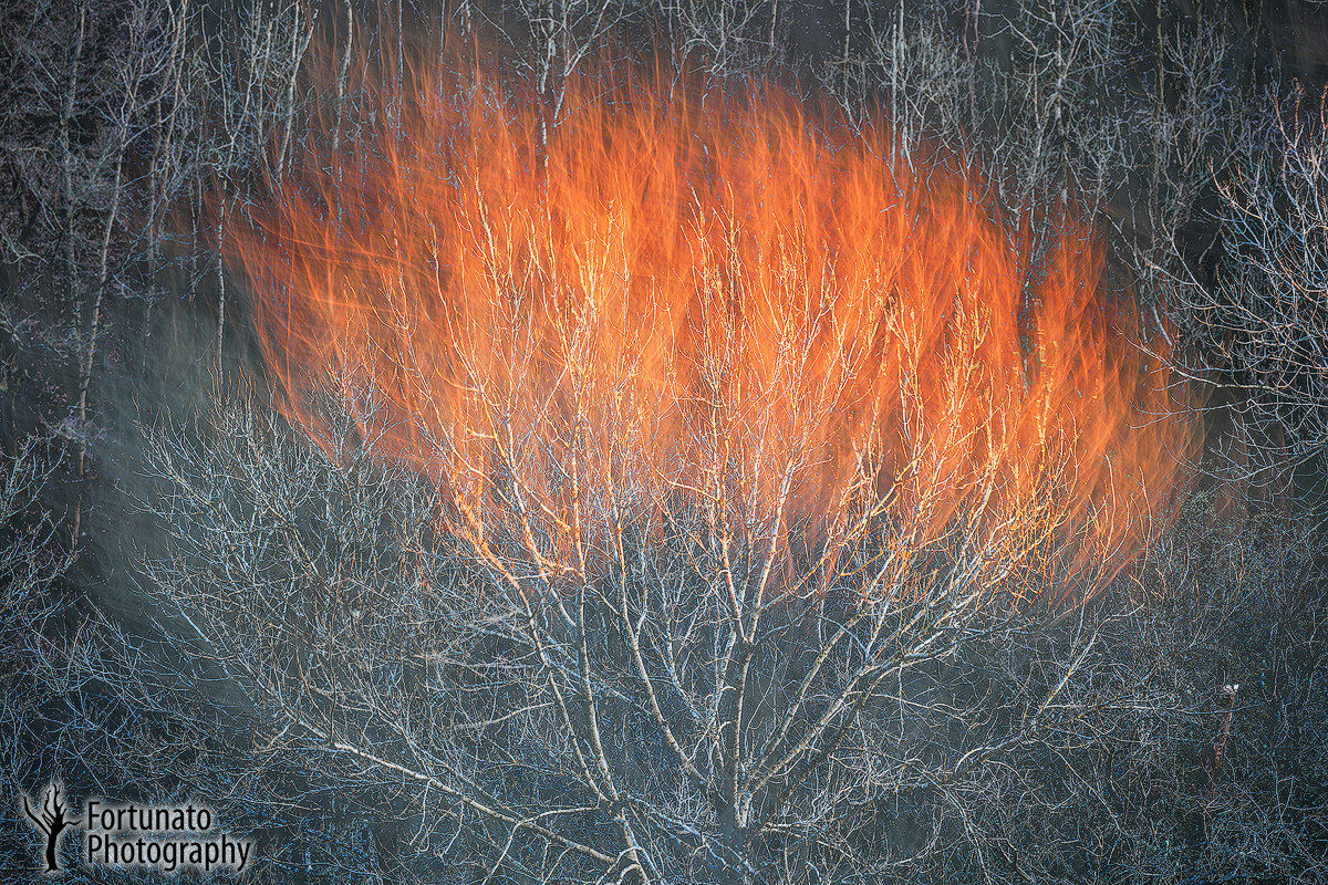 La metafora del fuoco