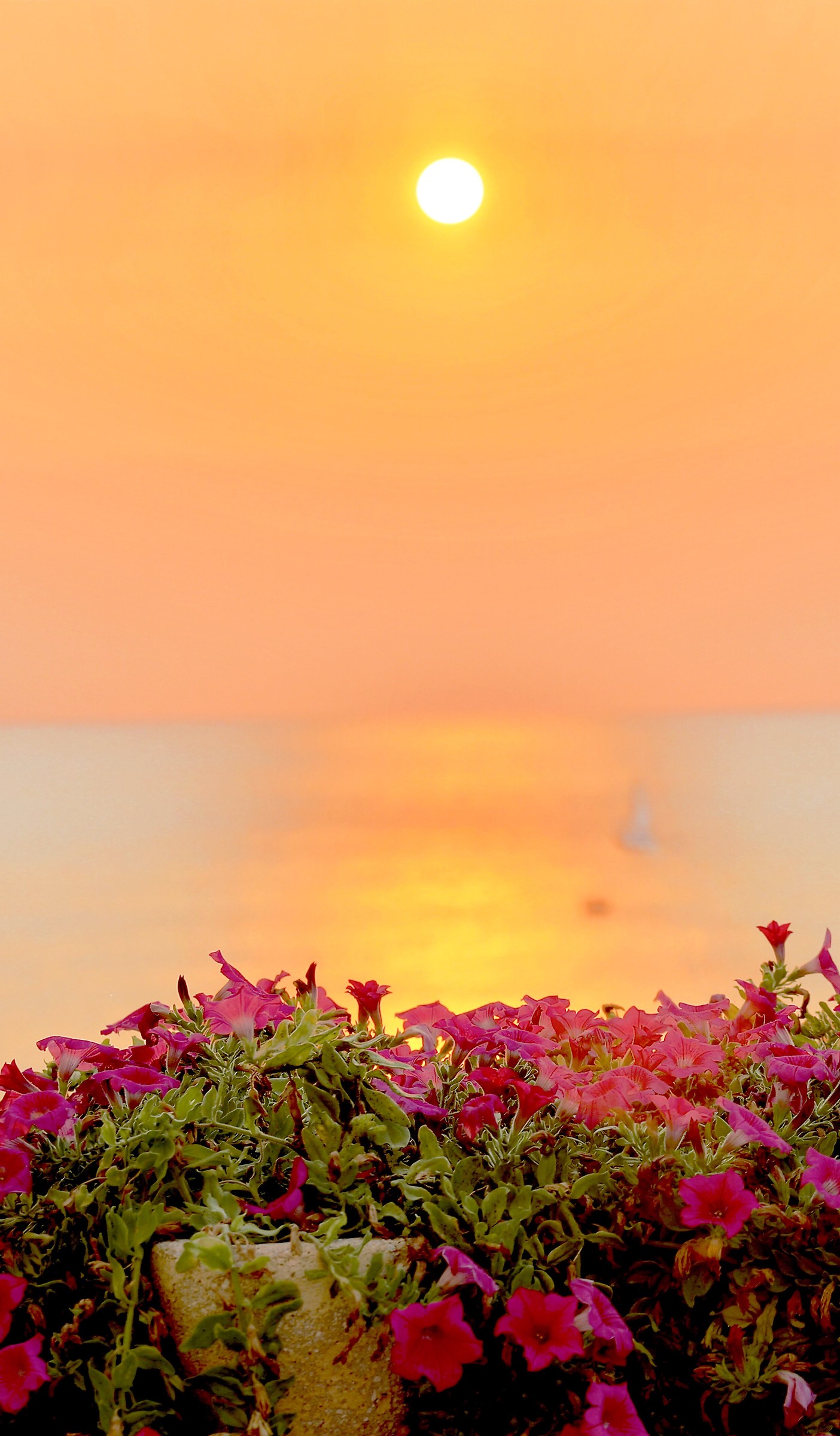 Sunrise from the terrace