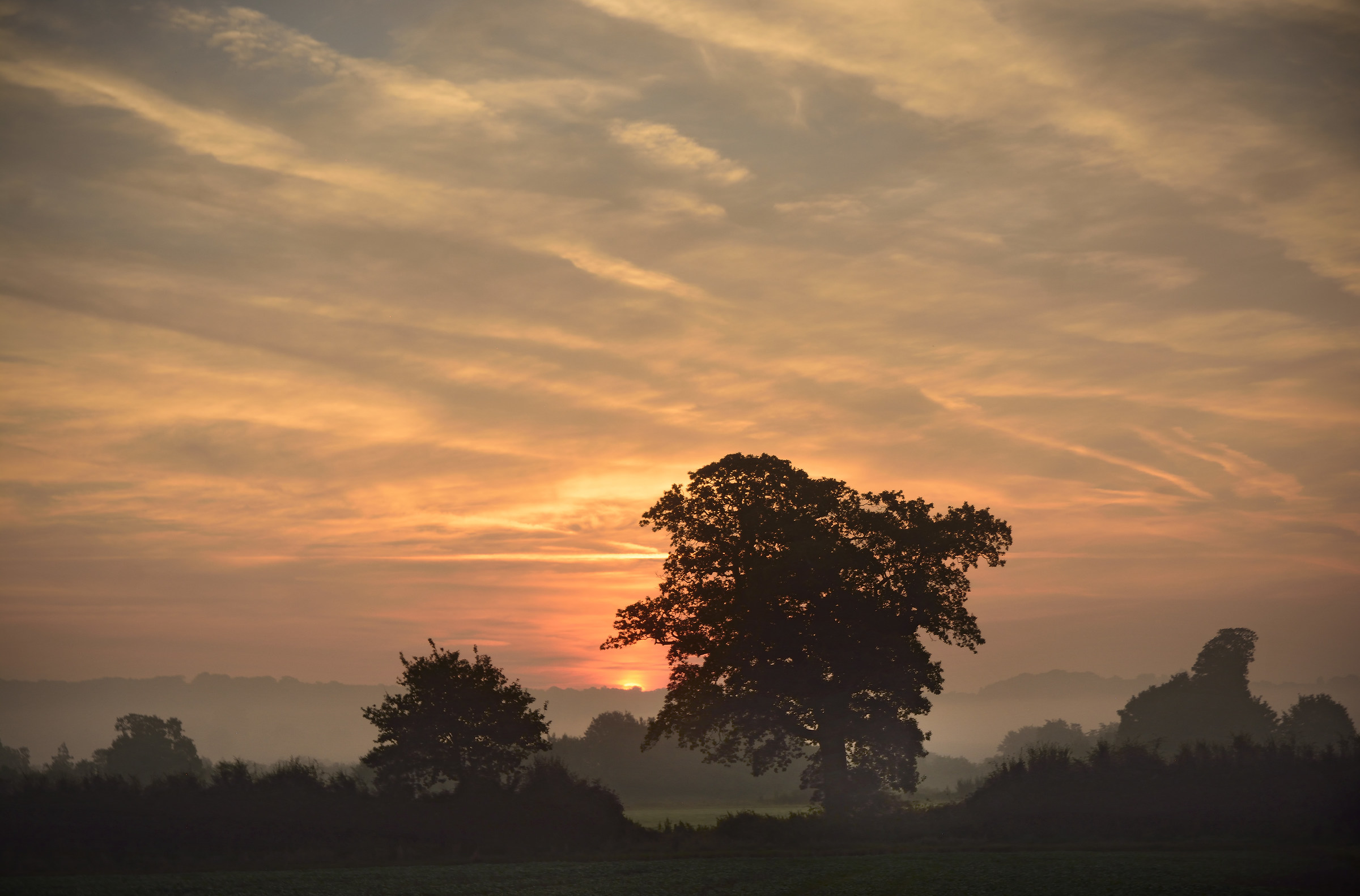 La maggior parte degli inglesi delle albe