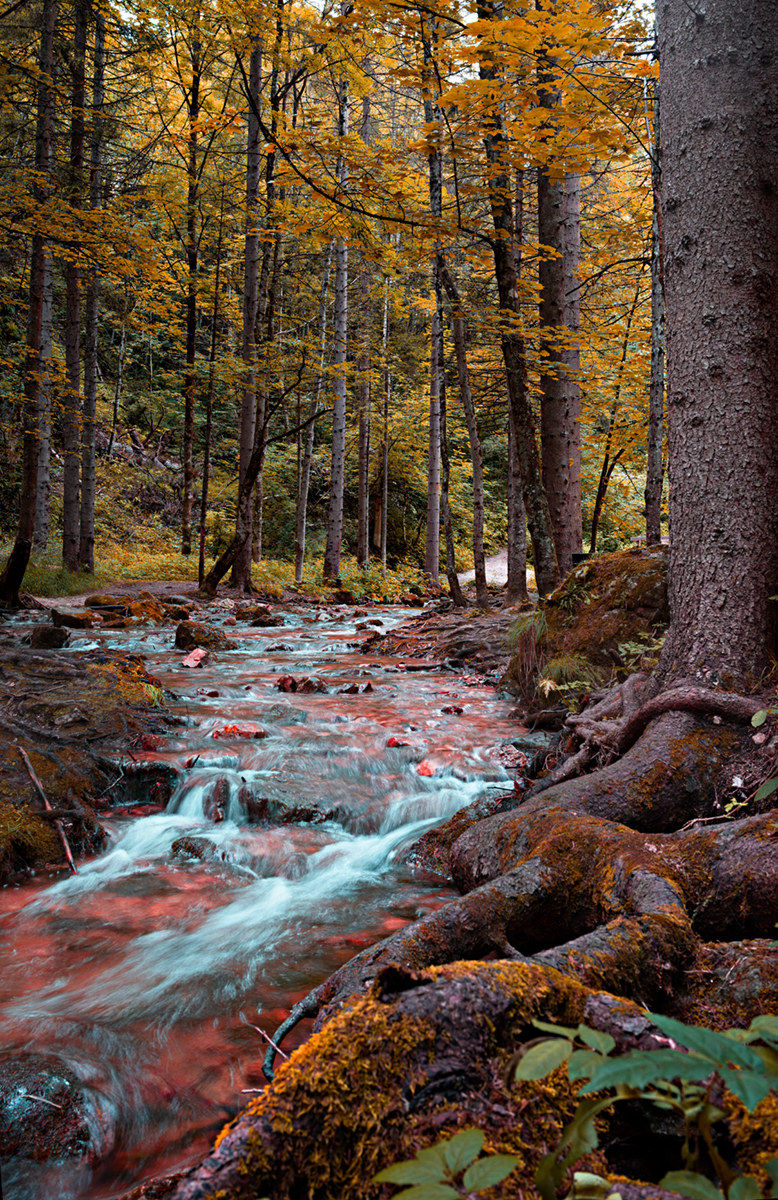 Ruscello del lago Smeraldo