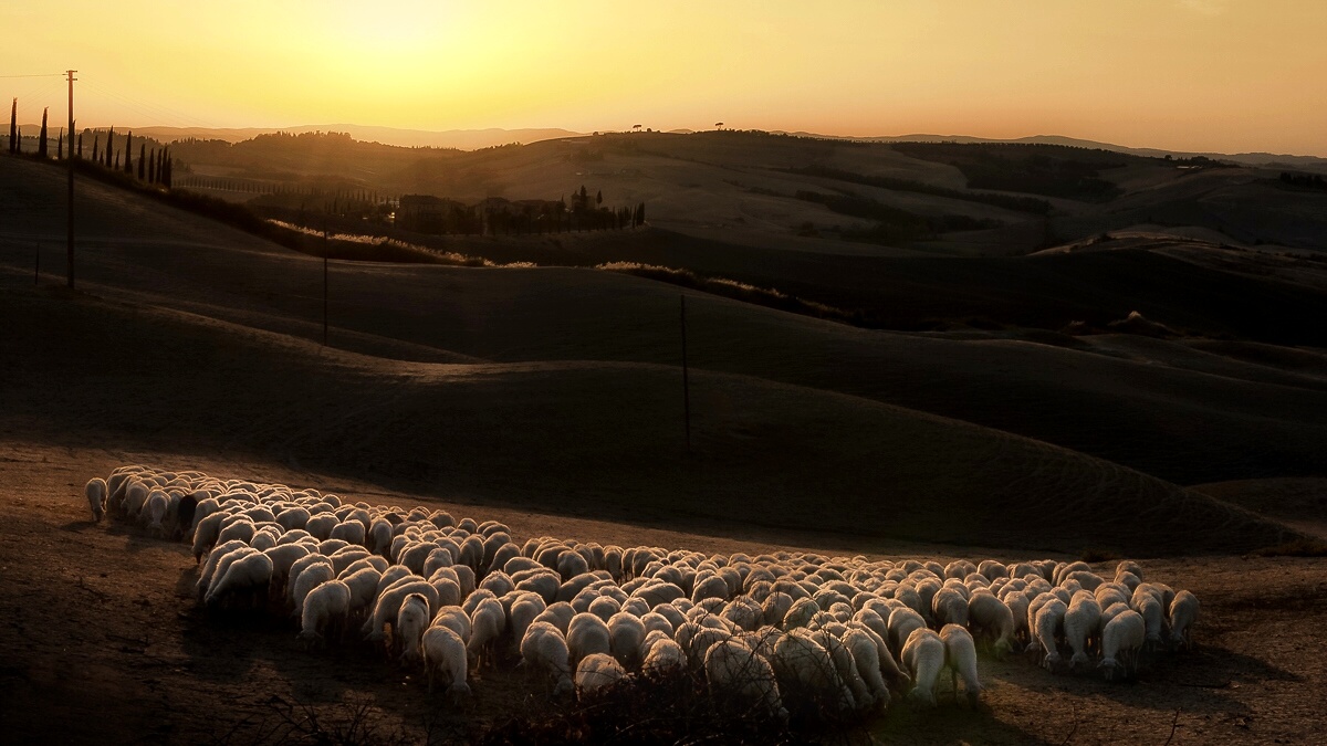 The last caress of the evening