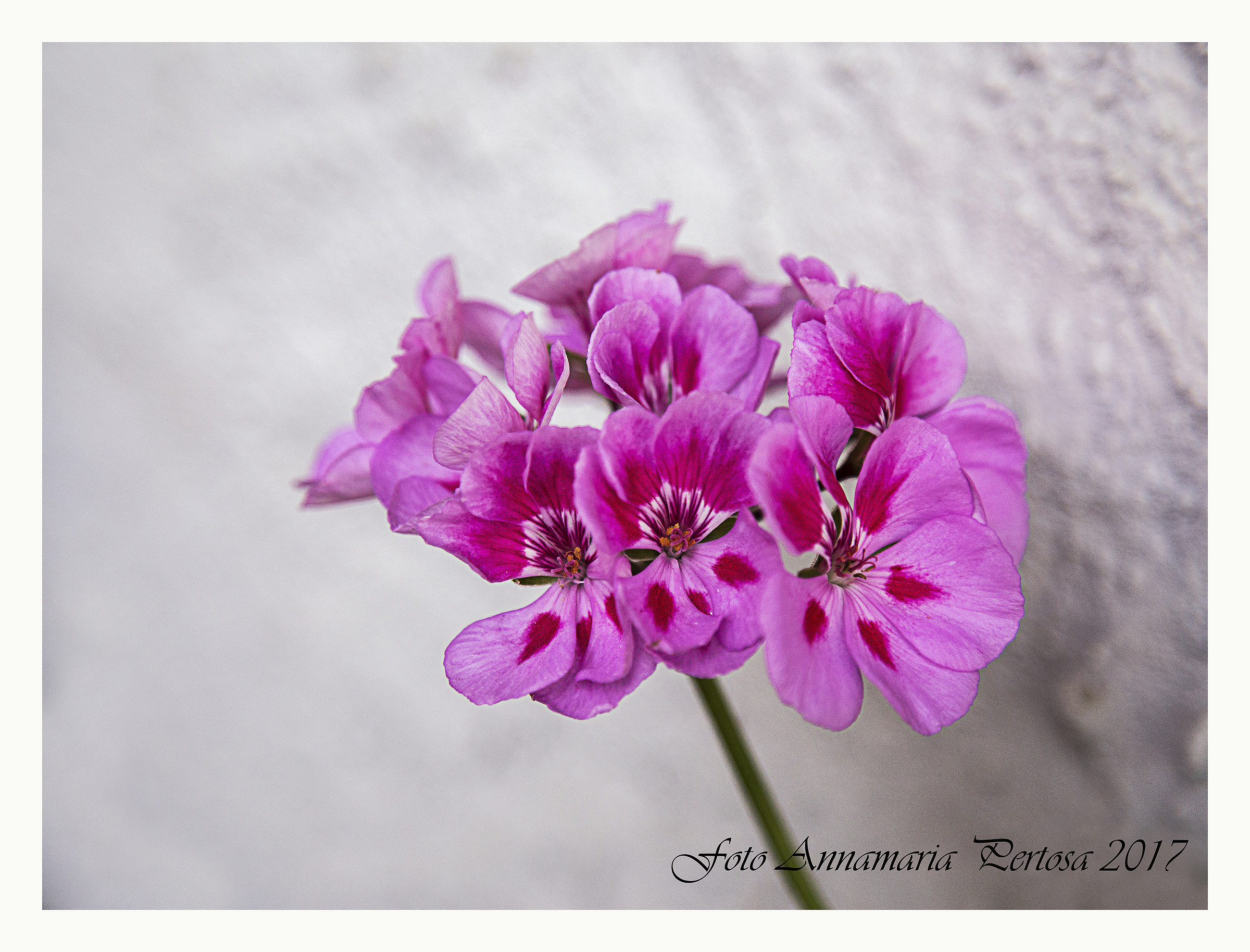 I already hear whistles at the stadium