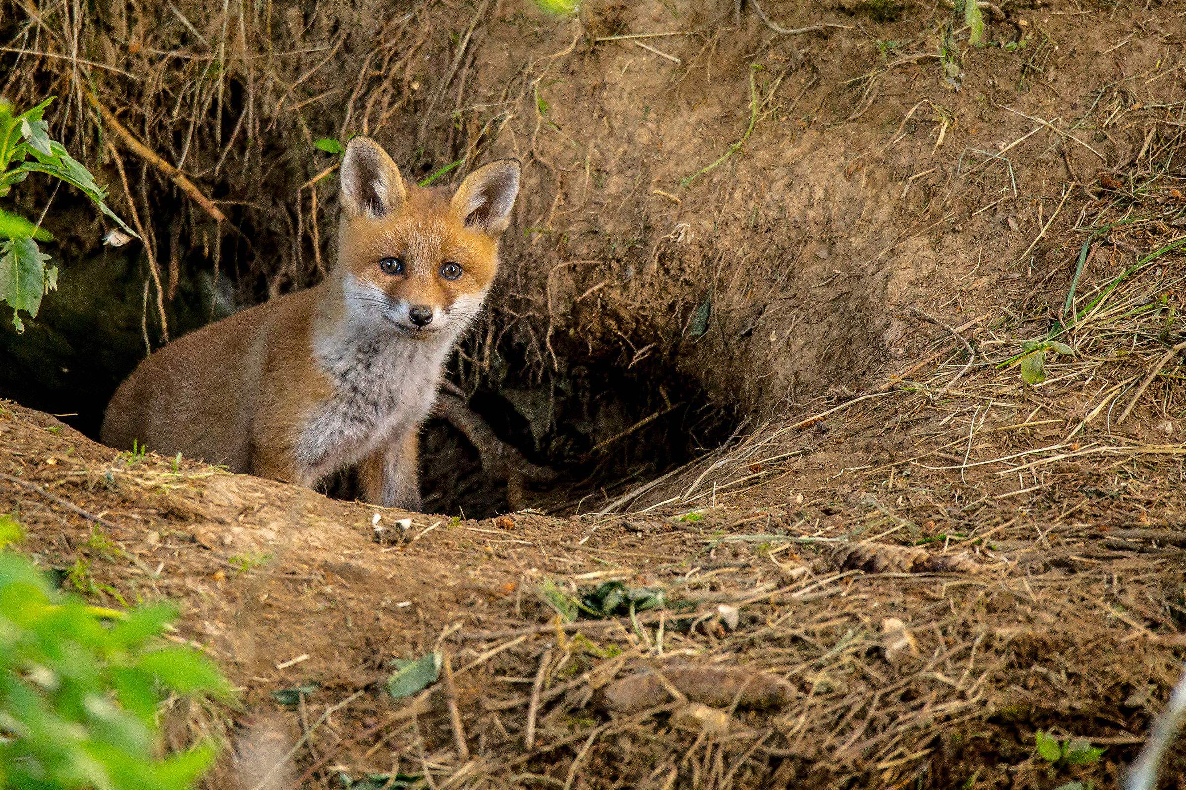 Best summer look 2017