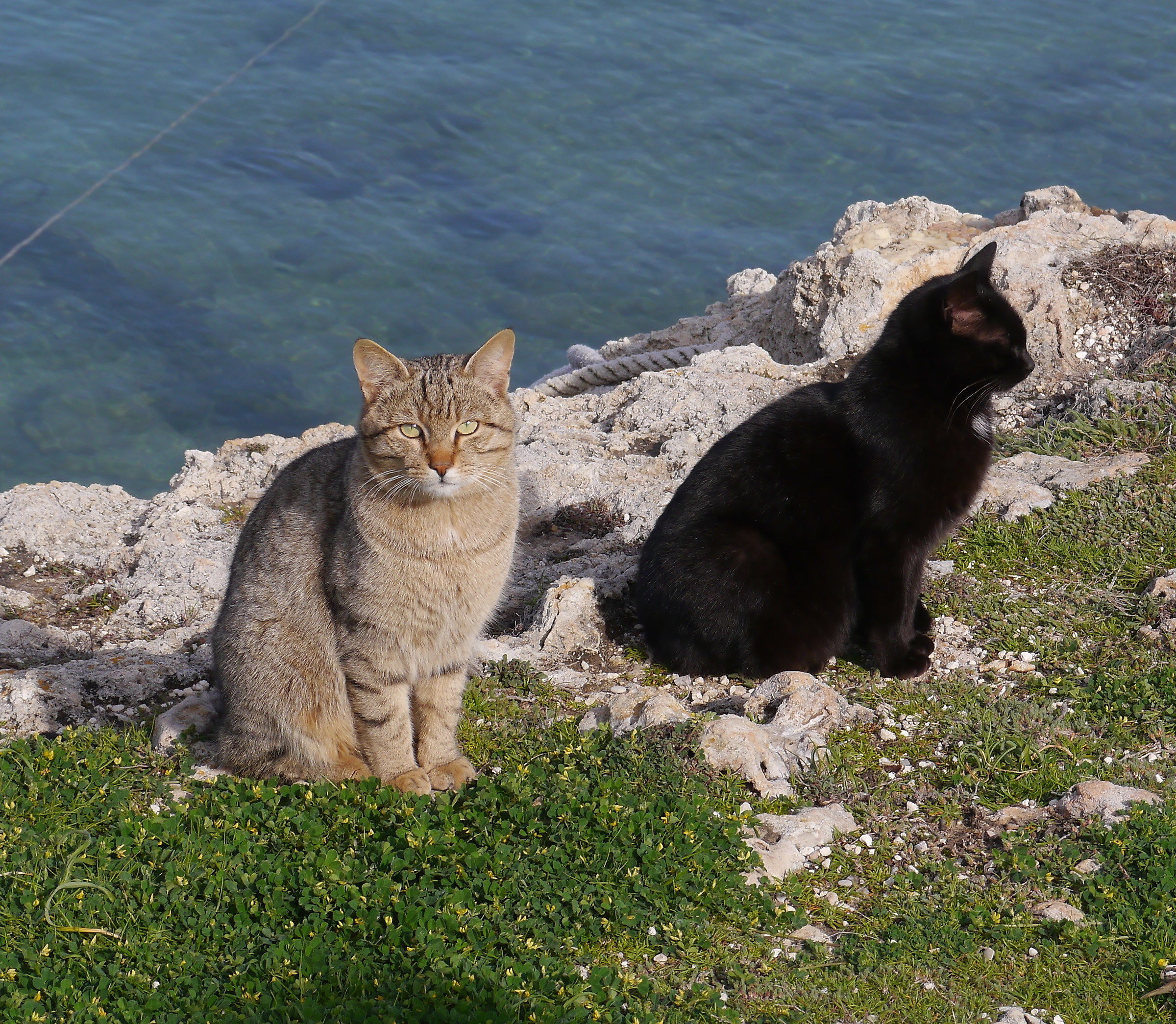 Do not look at the photo ... vanity