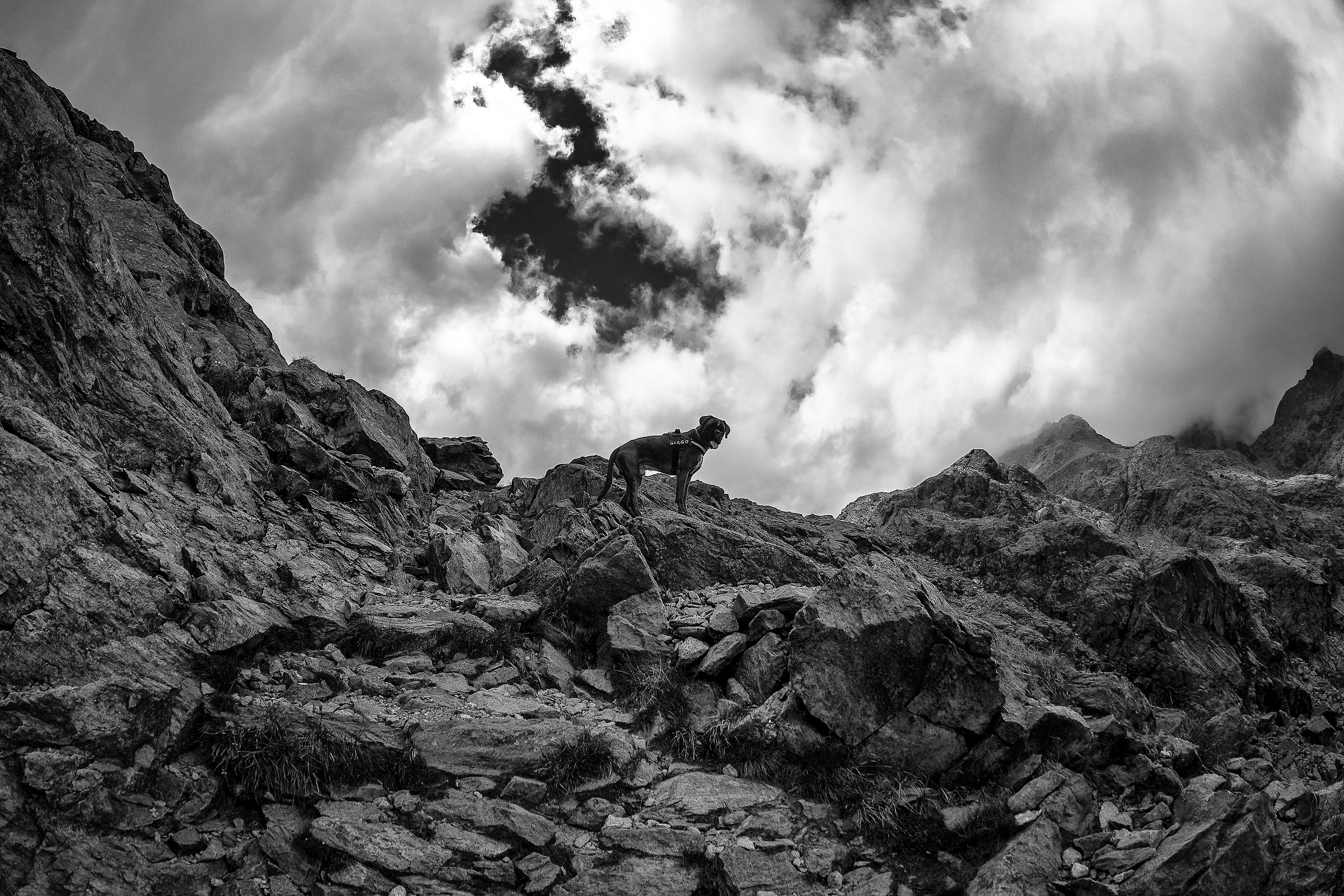 Iago on the Avic Mountains