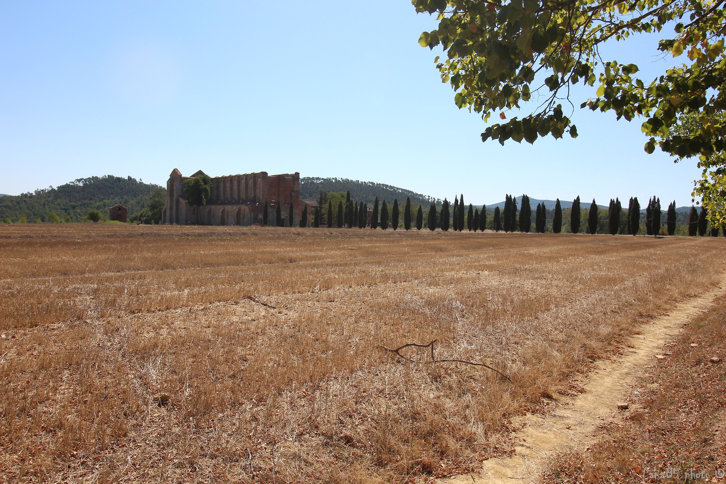 Abbey of San Galgano