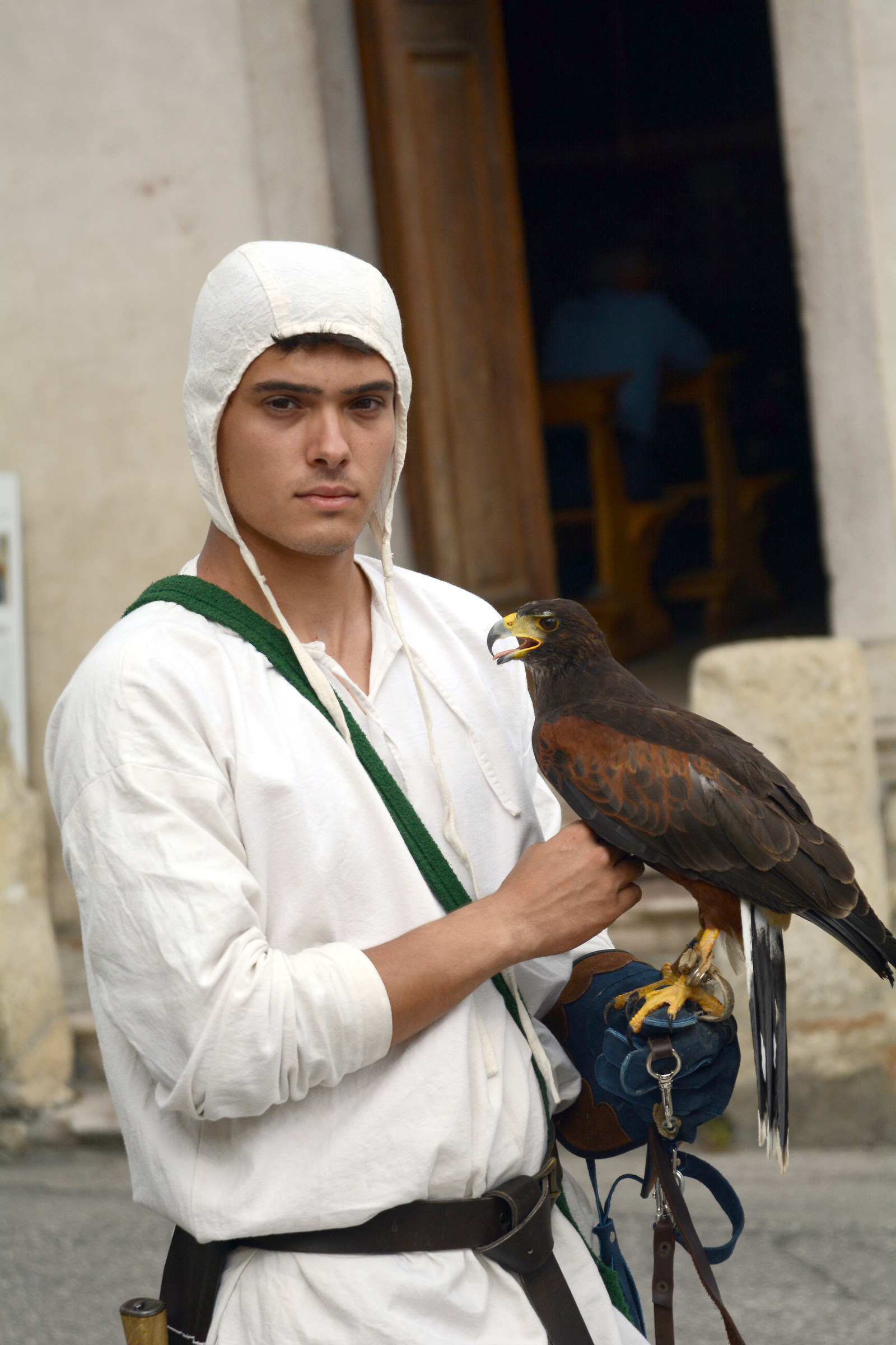 Falconer