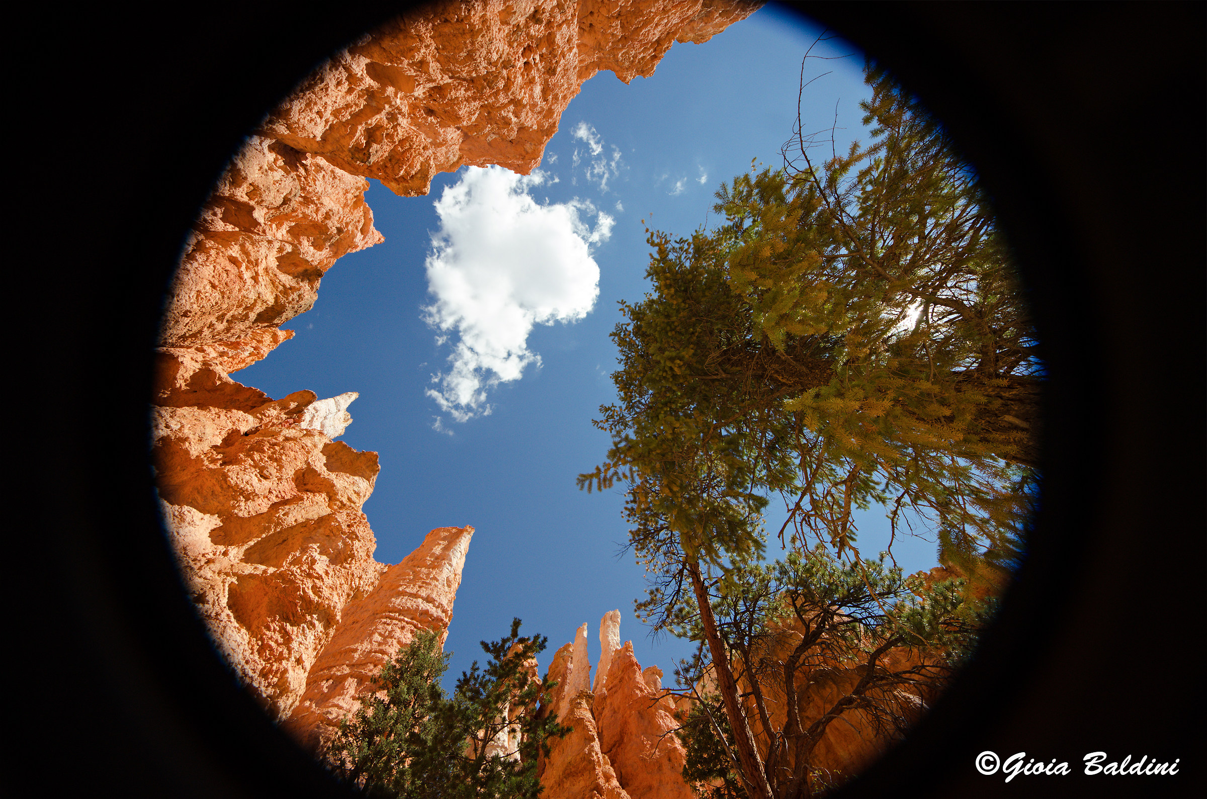 Their profile is sailing up into the sky ...