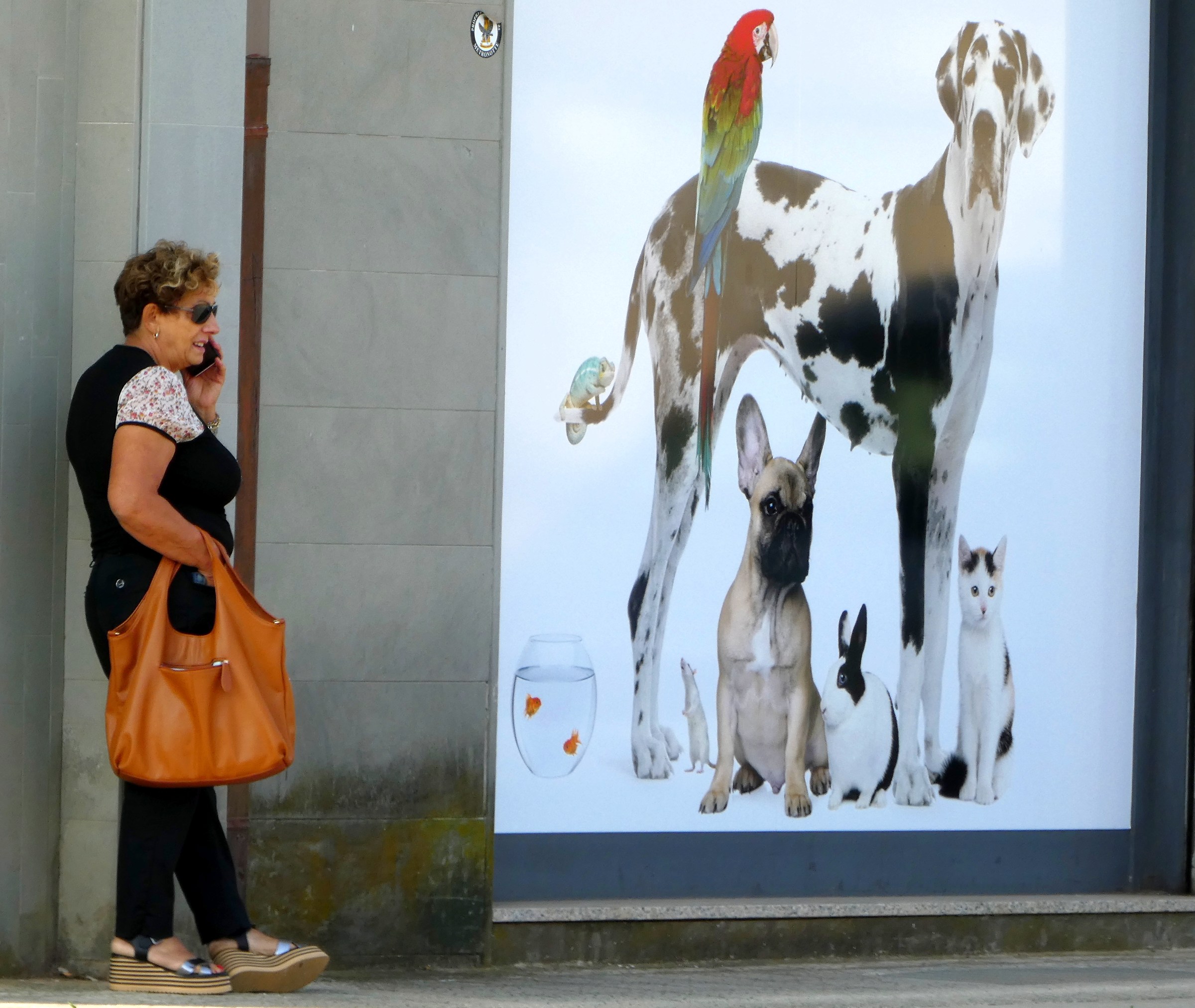 No. The fleas ... do not sell them