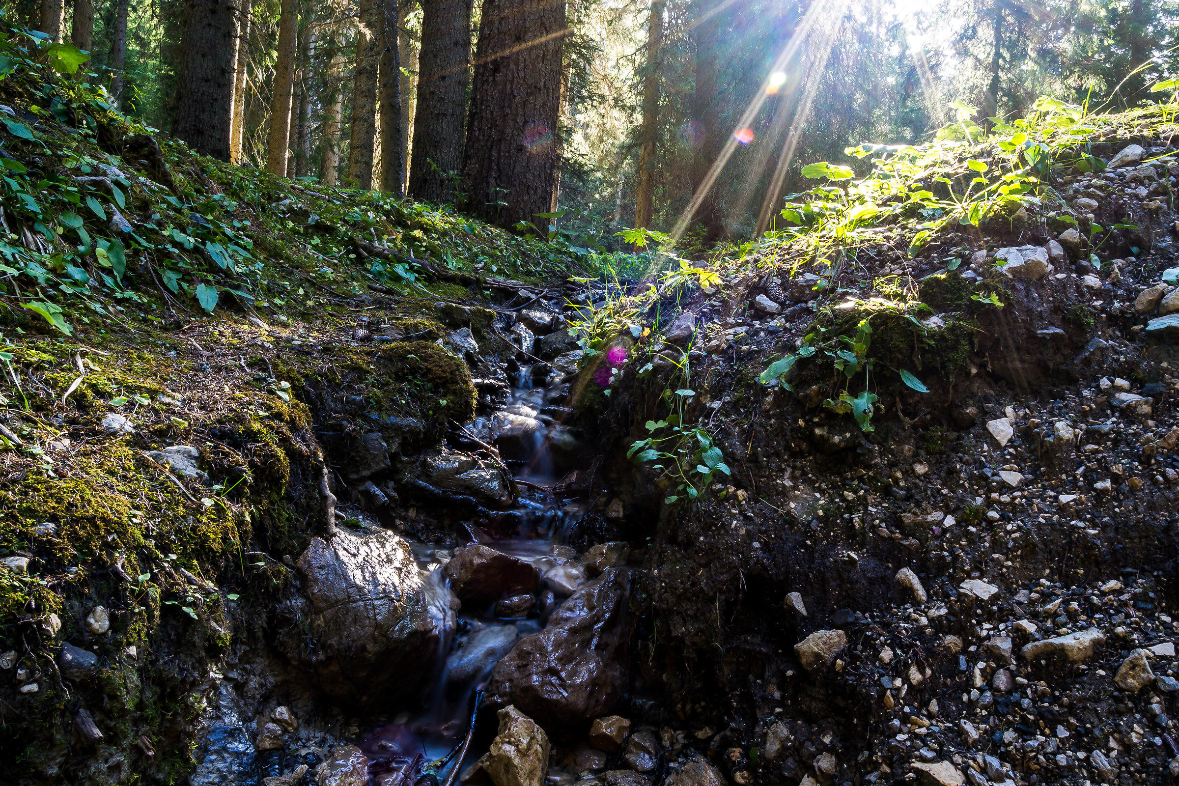 Clearing 2000m height