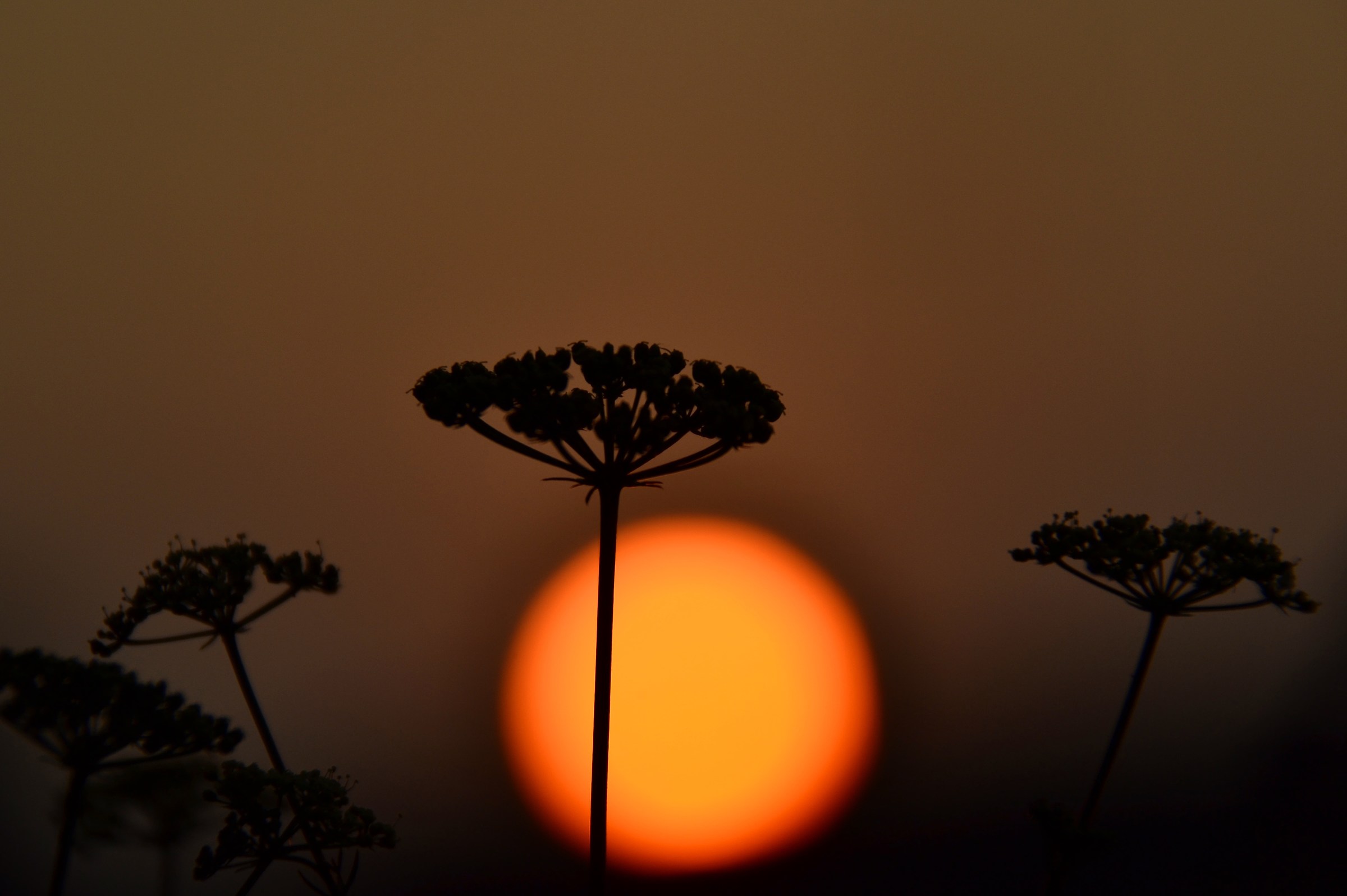 Tramonto
