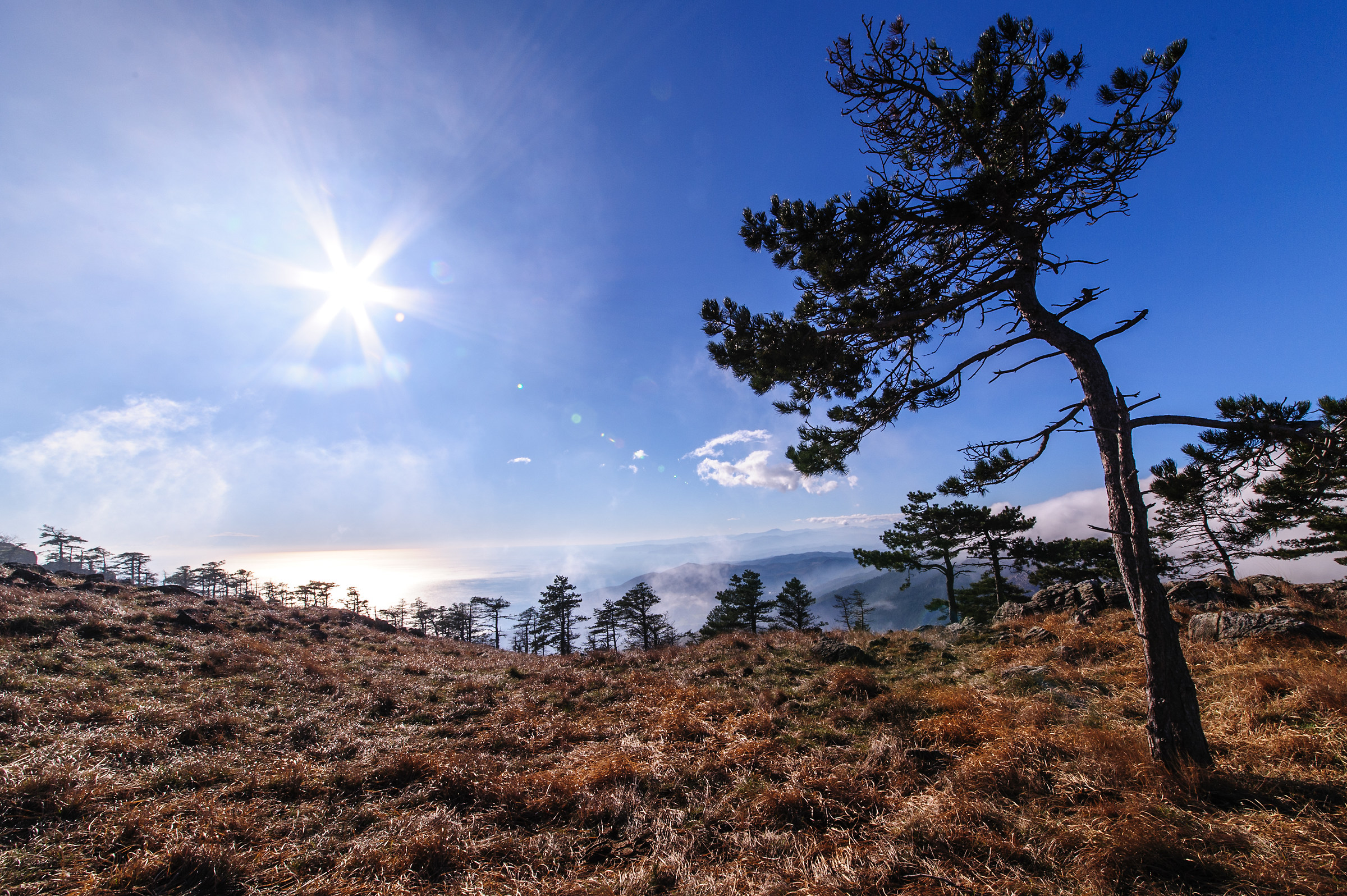Scendendo dalla Tardia di Ponente