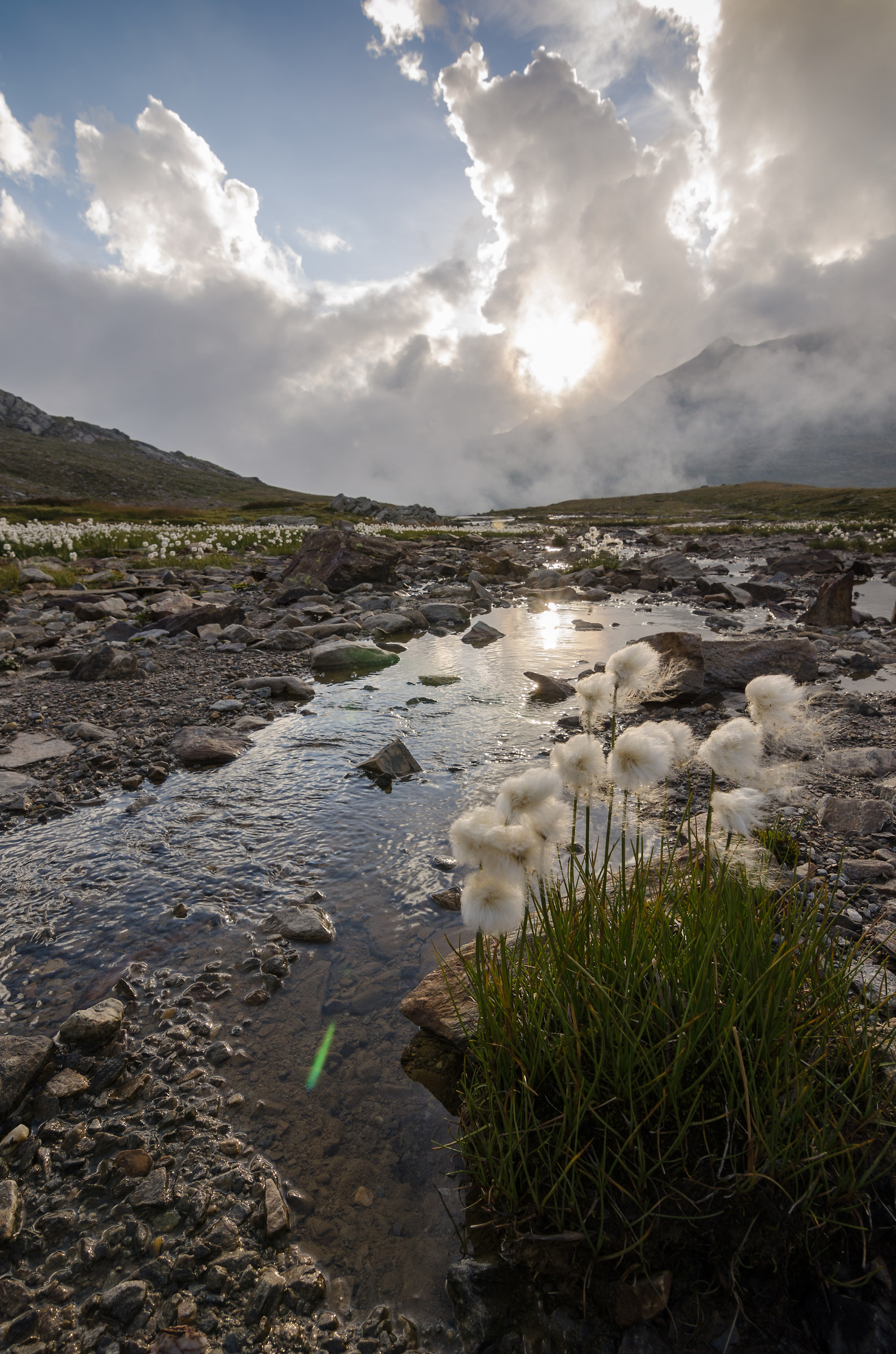 Riflesso dell'Anima - Passo Gavia 2652mslm