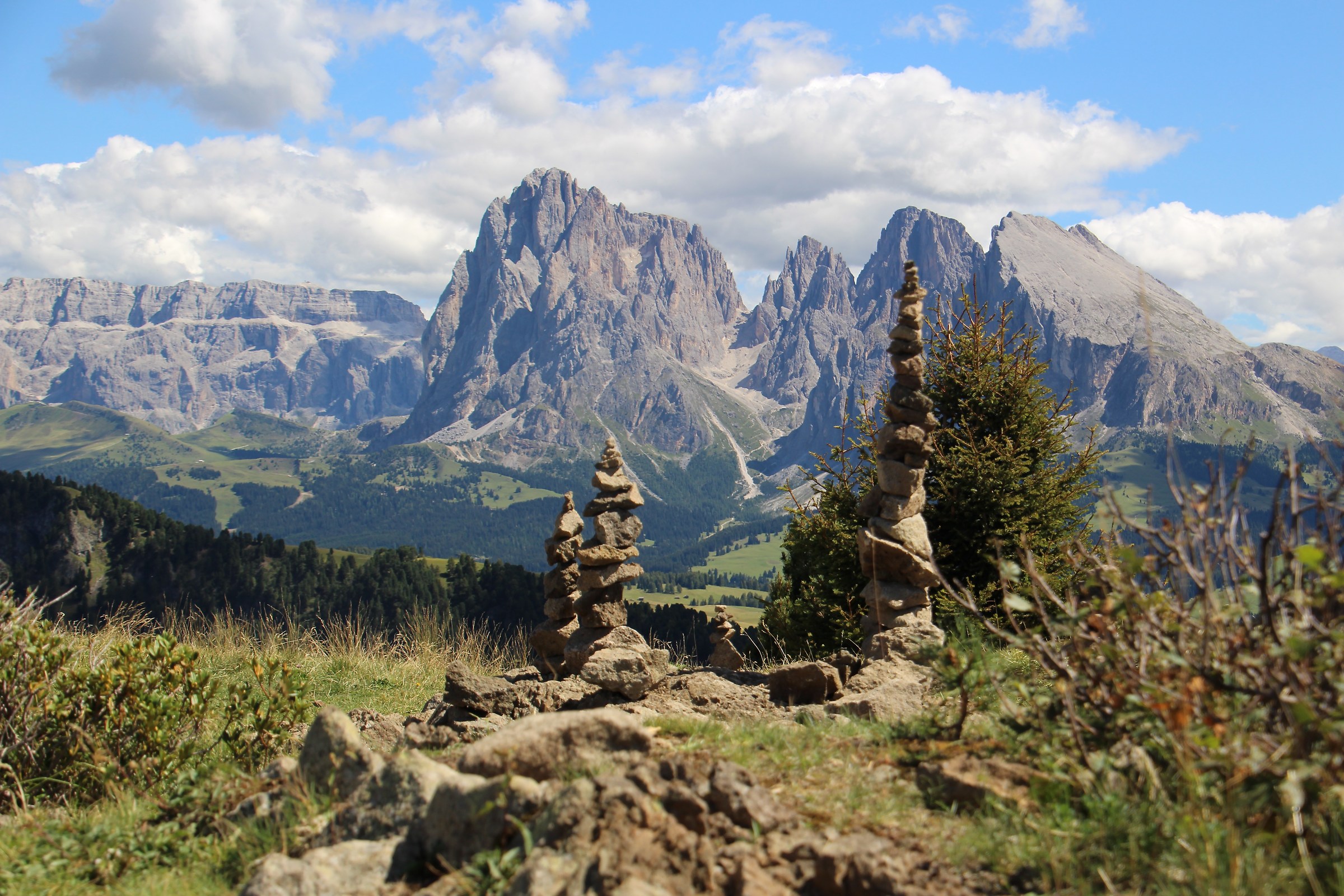 Alps of Siusi