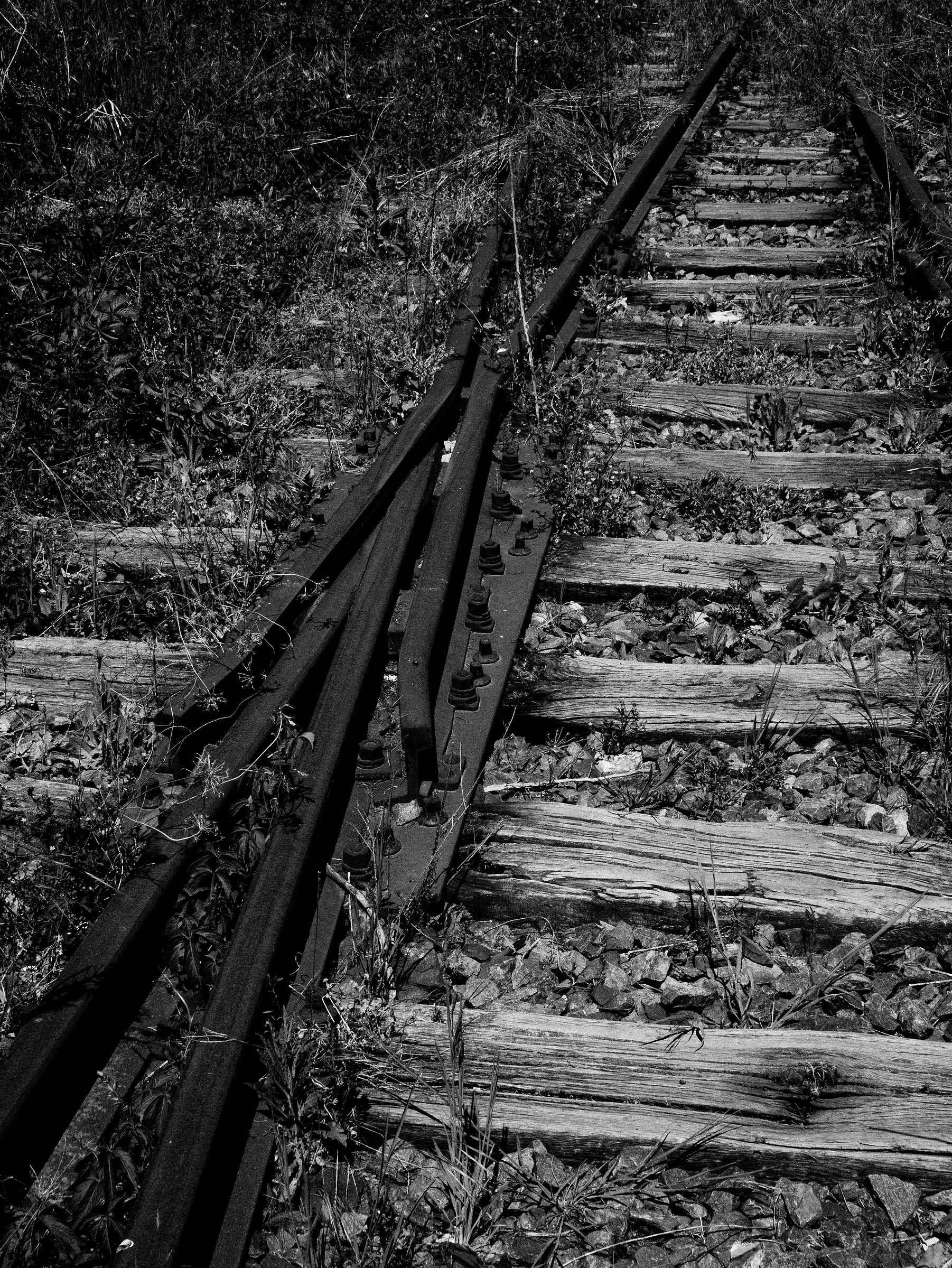 Old rail .... now dead