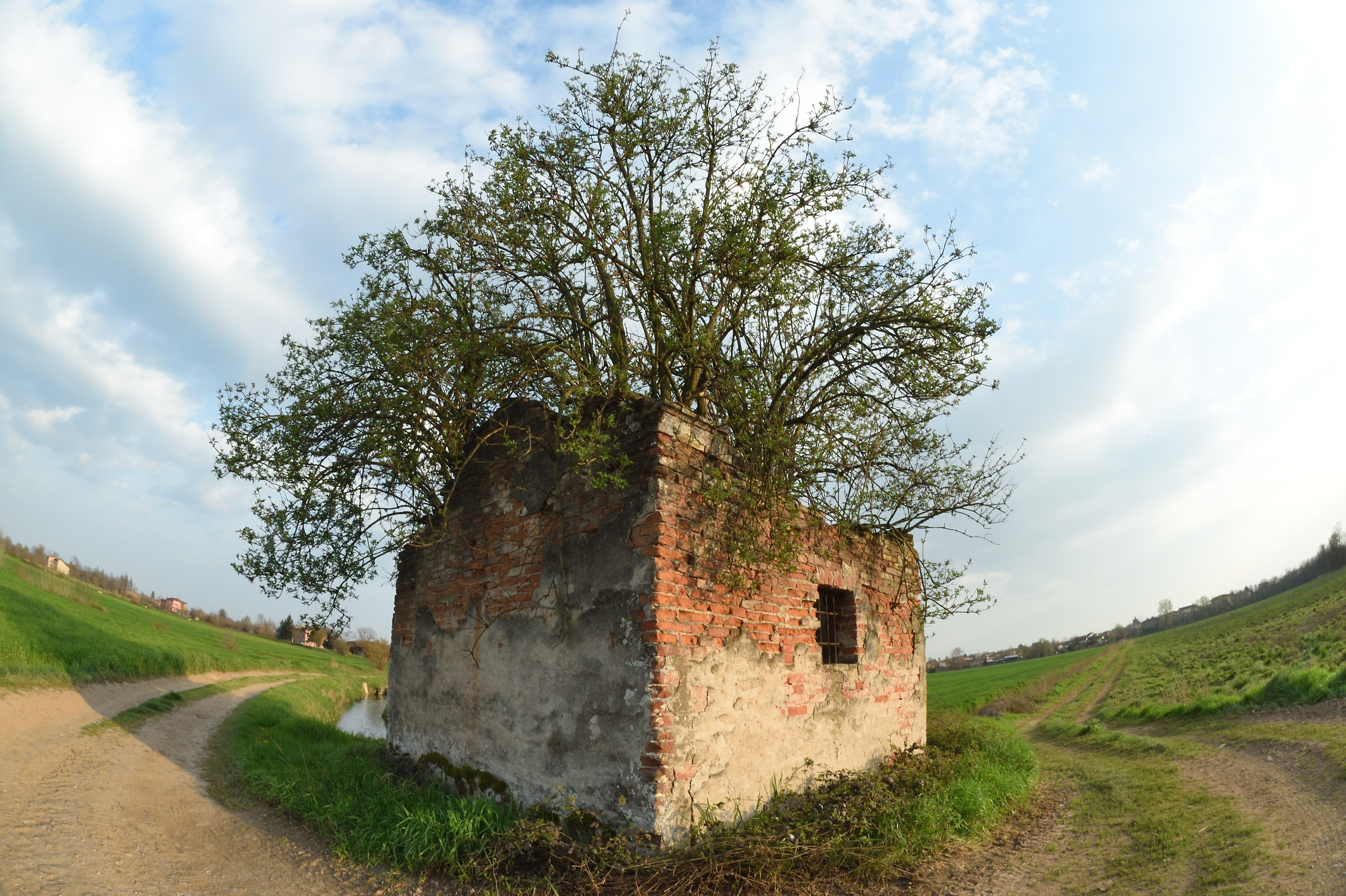 Somewhat neglected country store