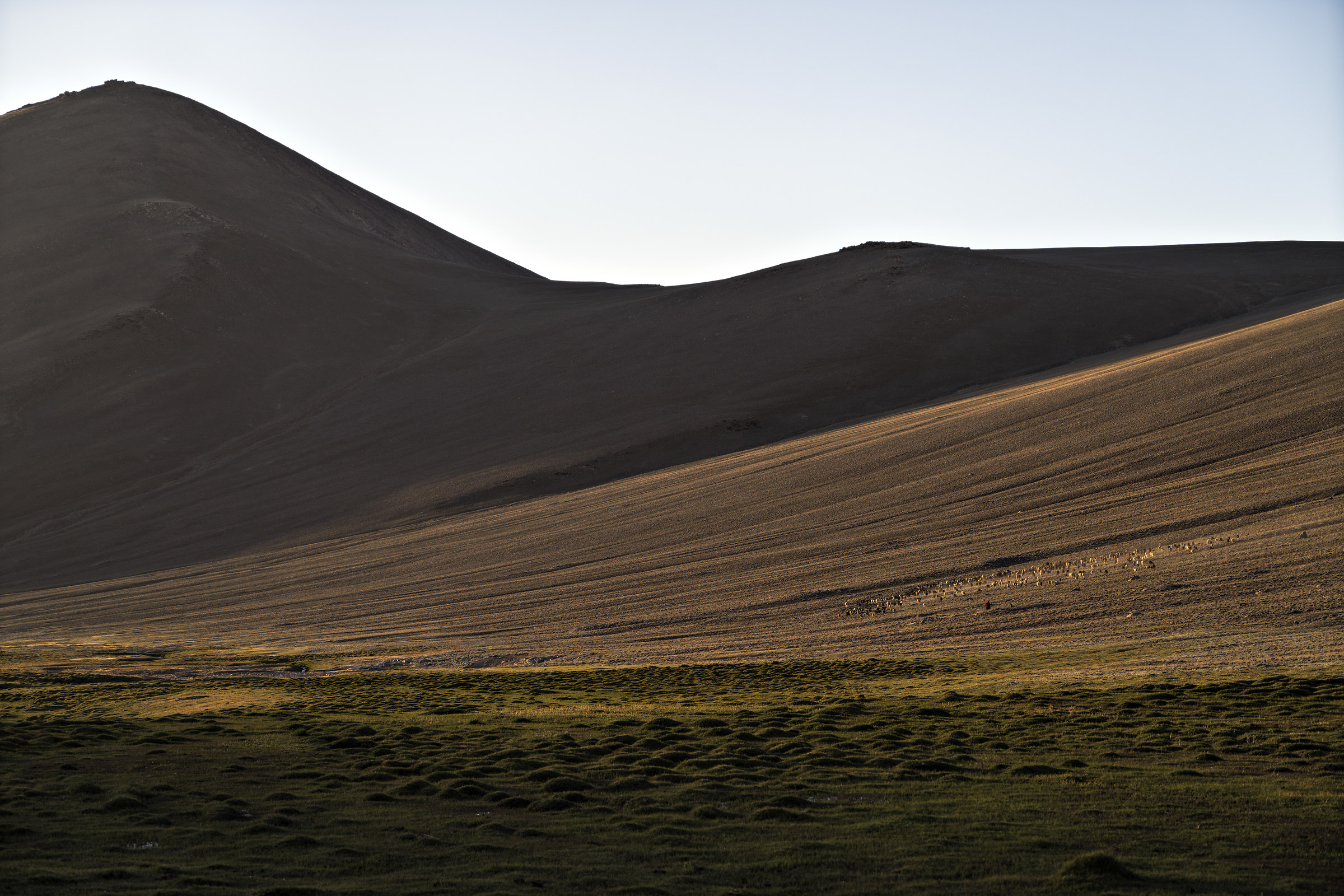 Pascoli a 4000m sopra Barchid