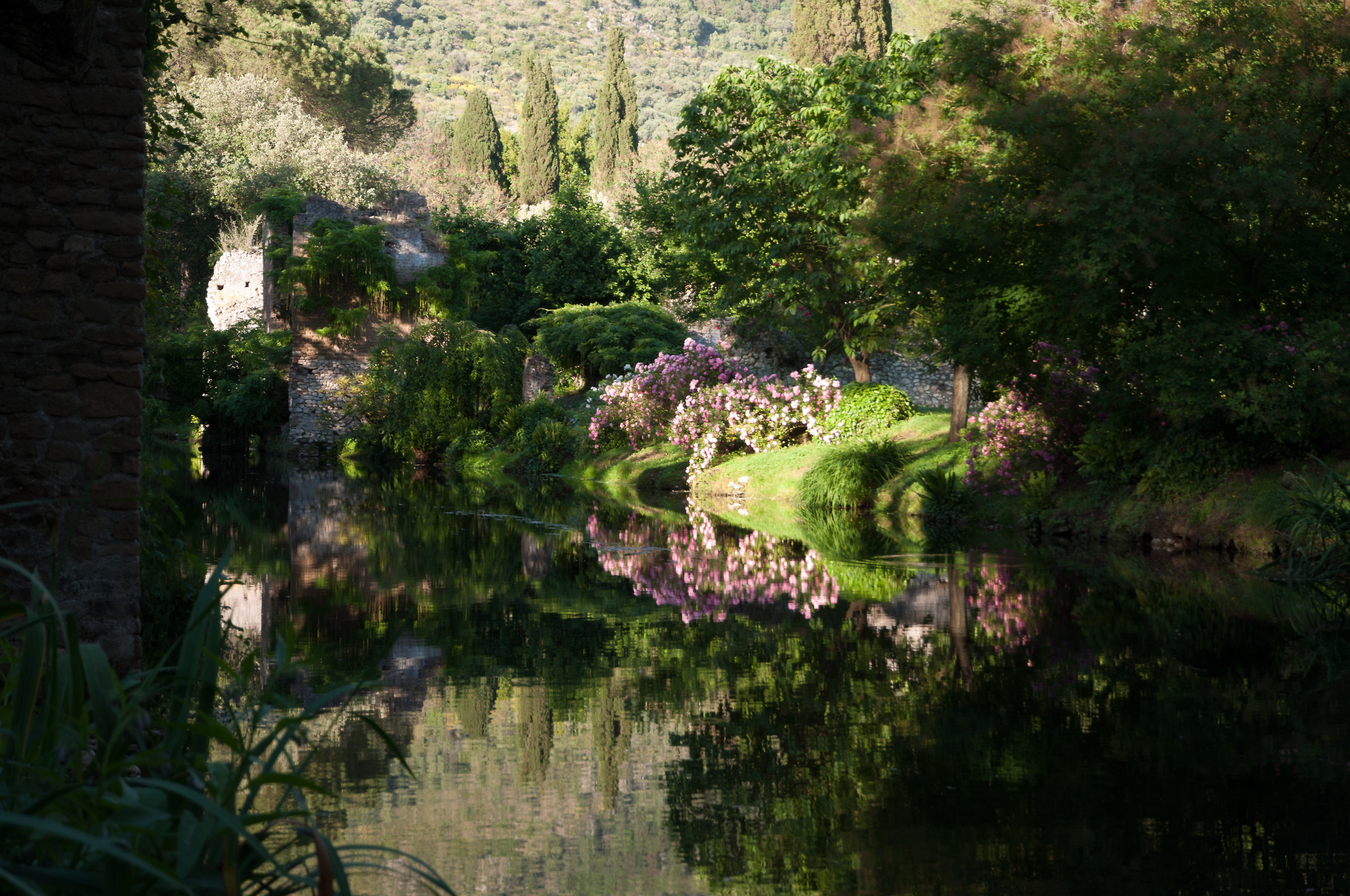 Riflessi#Giardini di Ninfa