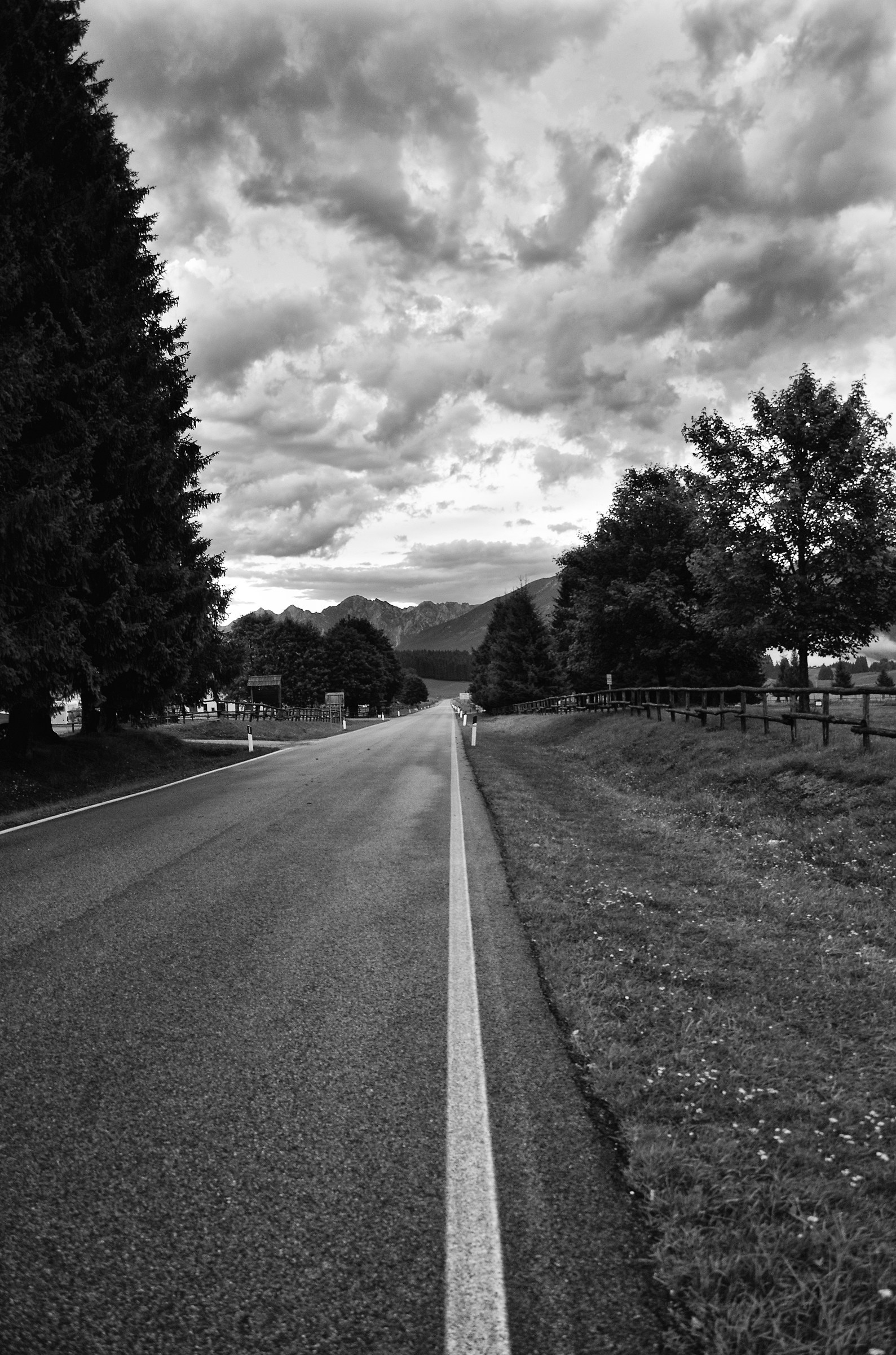 la strada del Cansiglio