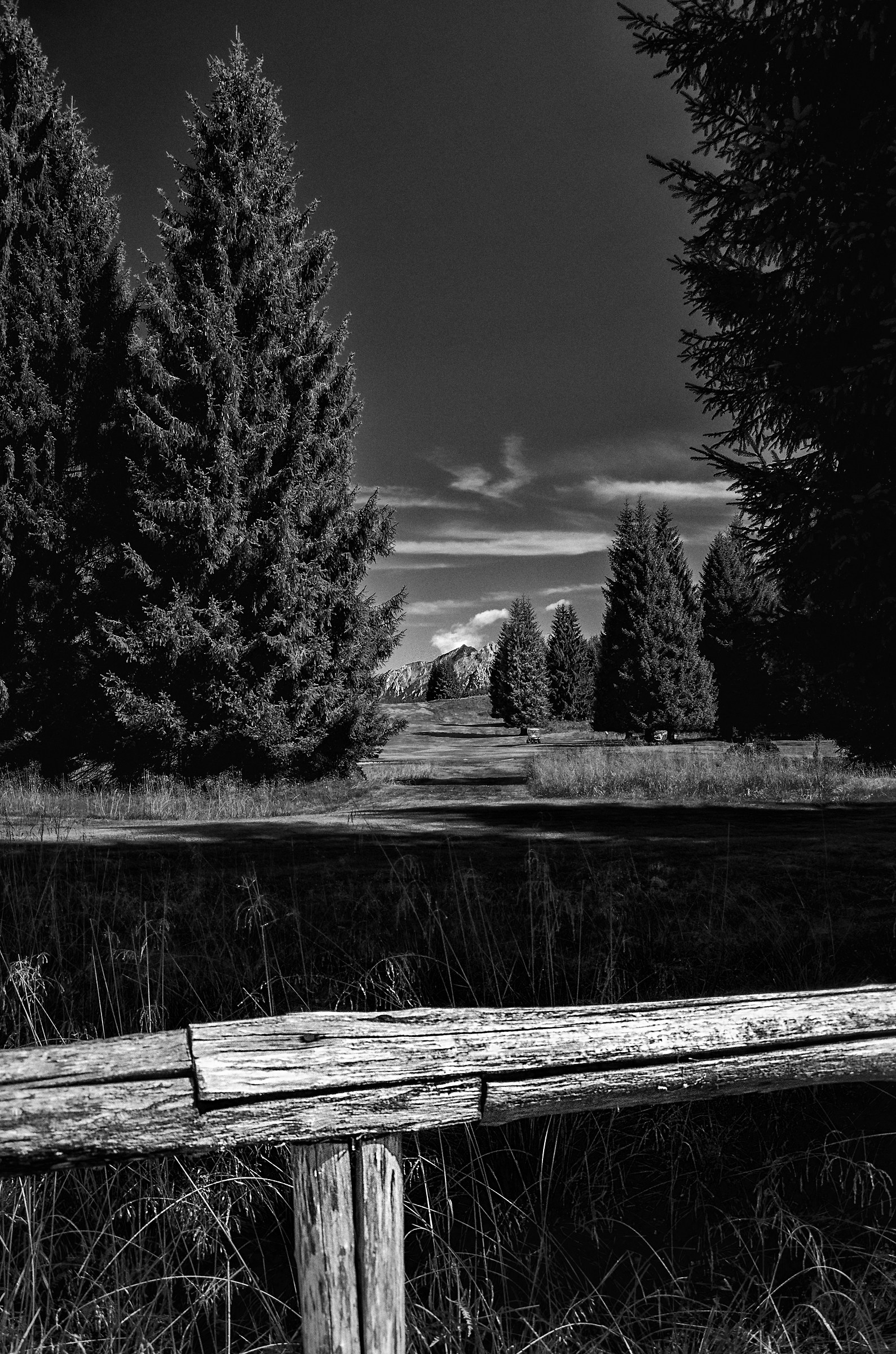 oltre la staccionata