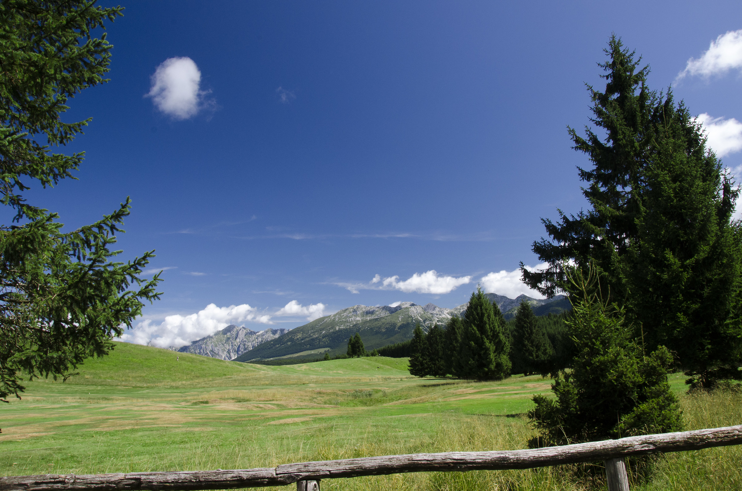 panorama sul Cansiglio