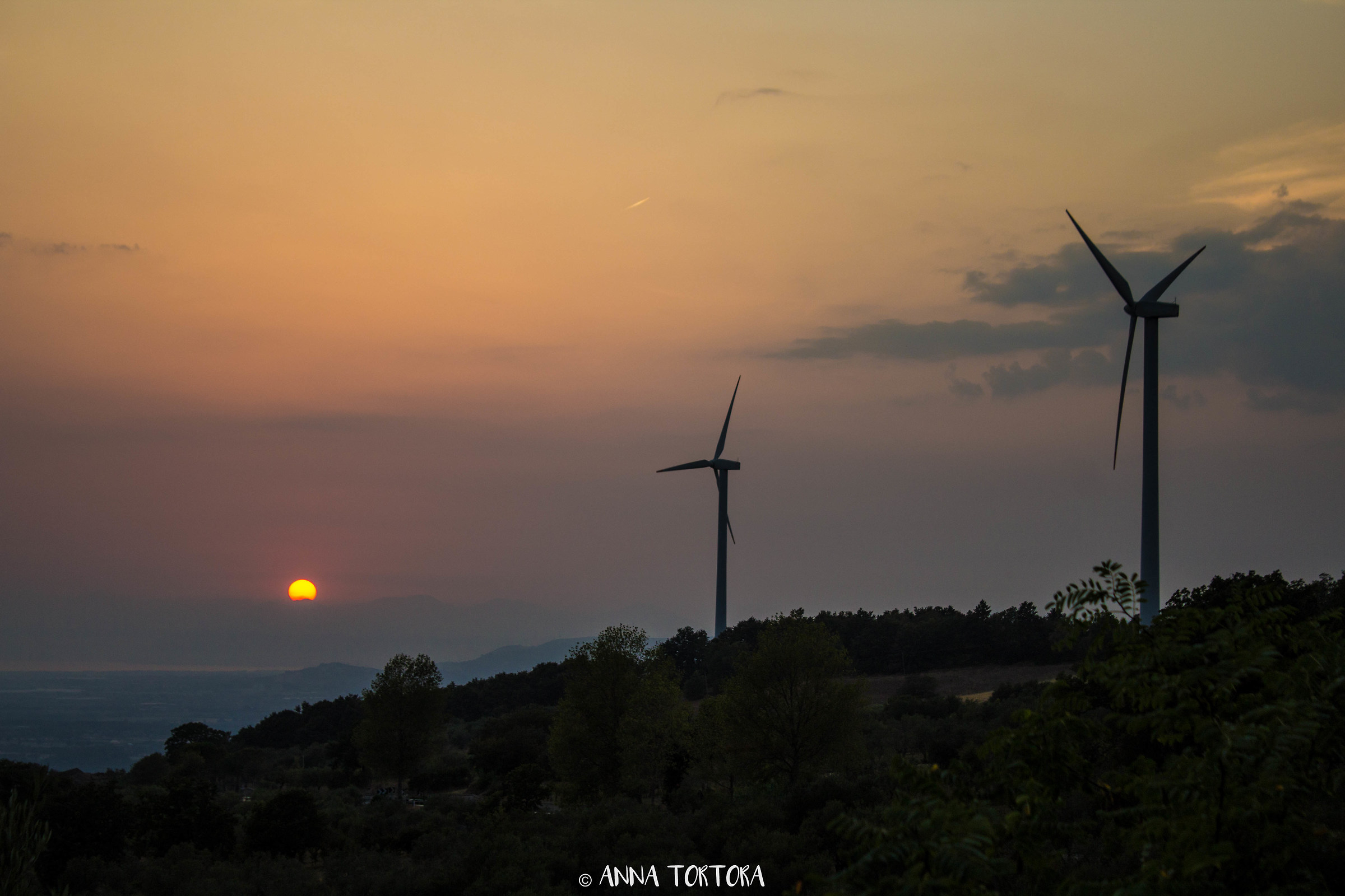 Sunset with wind blades