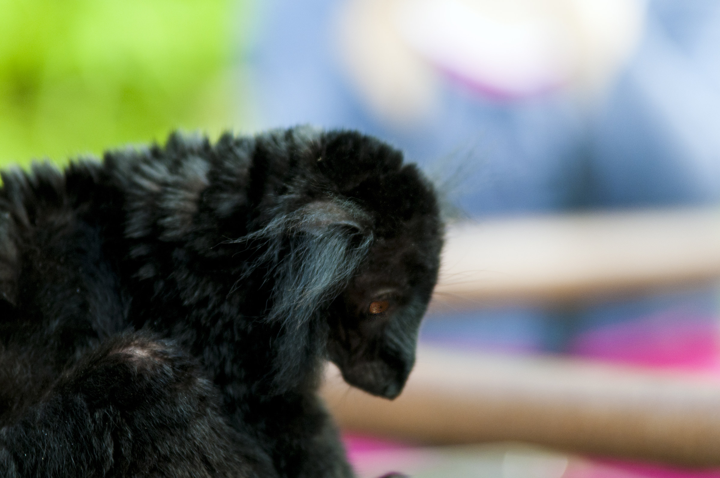 Moments of sadness ...