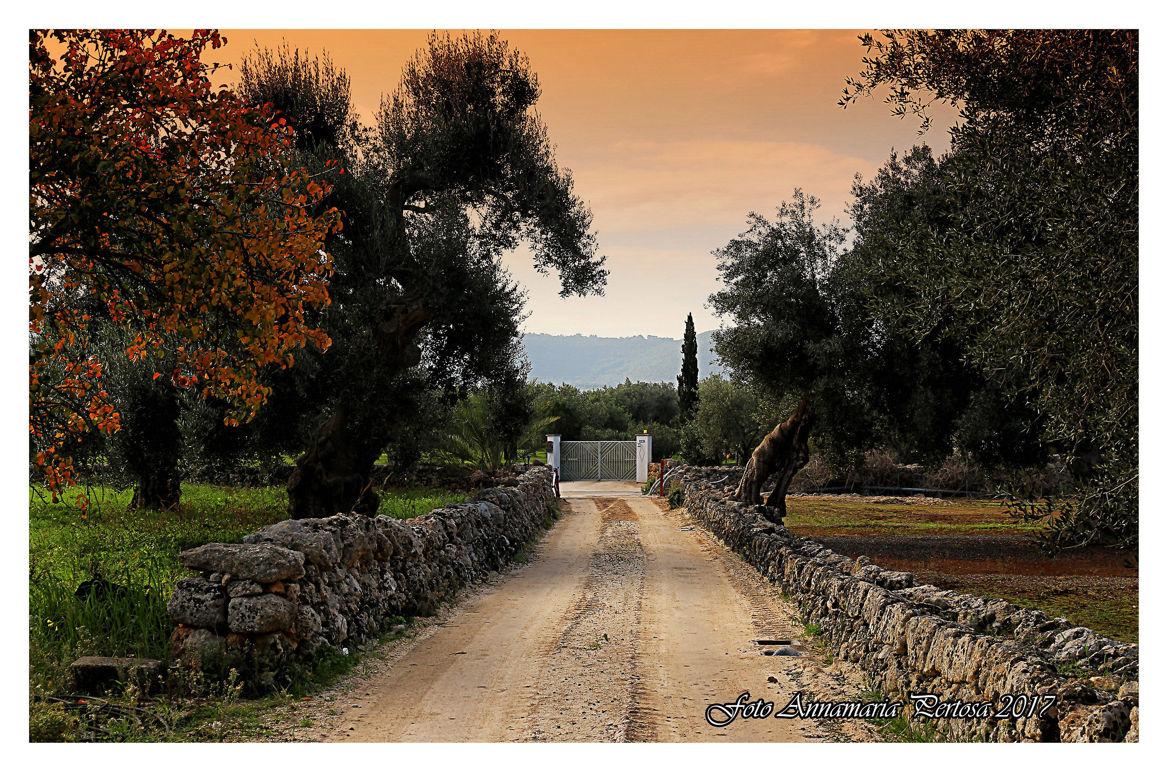 Il mio rifugio campagnolo