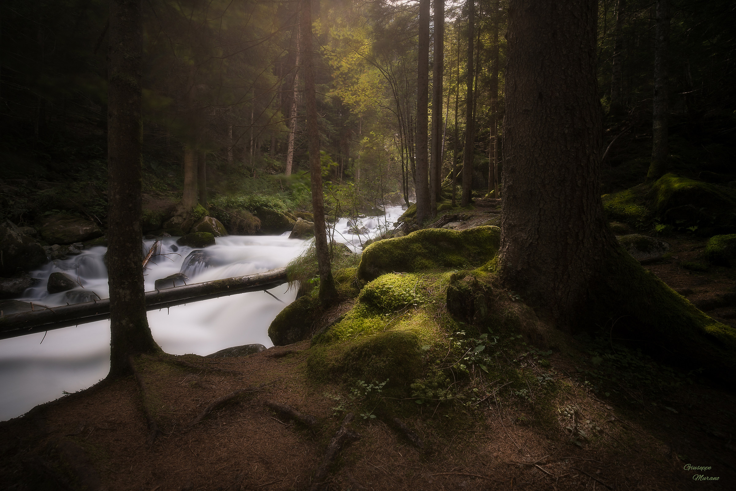 Non potevo non fermarmi..