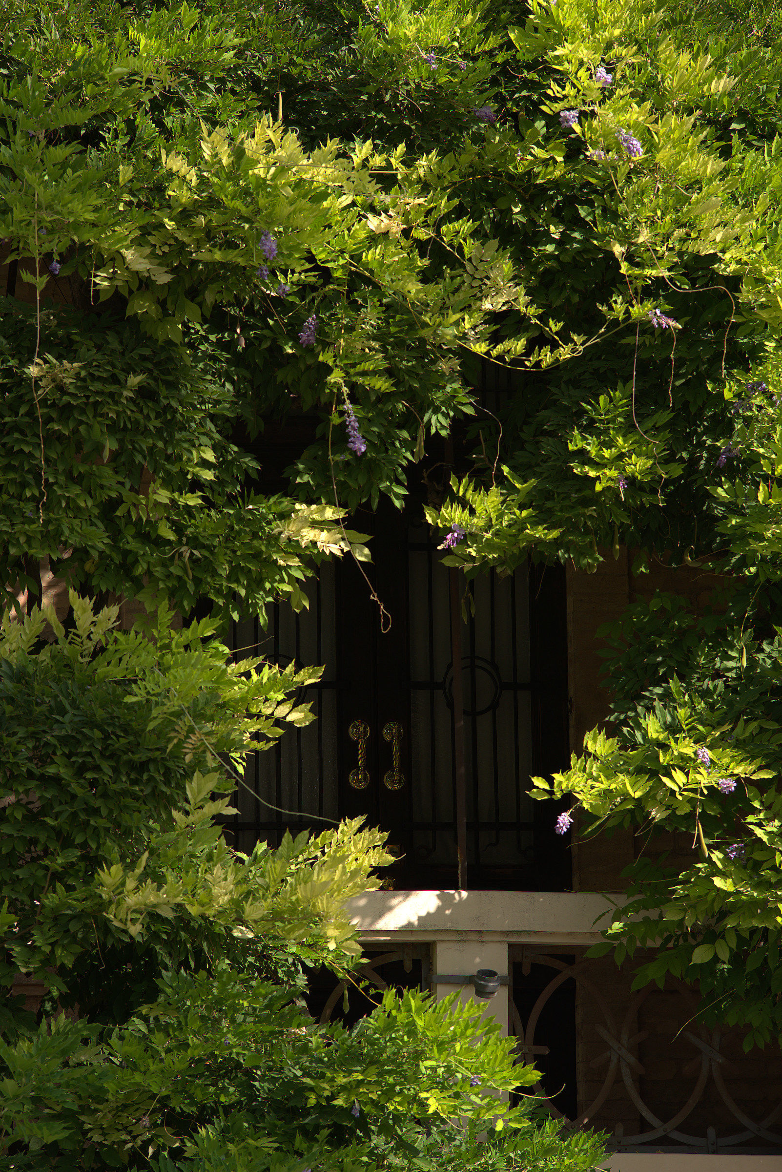 door of a house, San Benedetto del Tronto