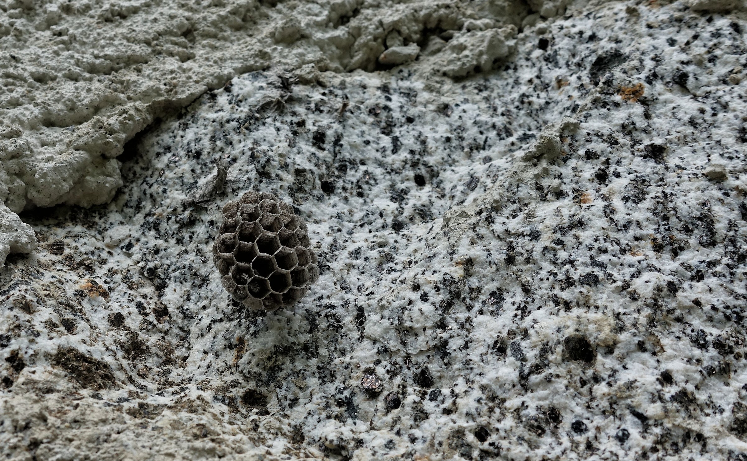 Granite nest