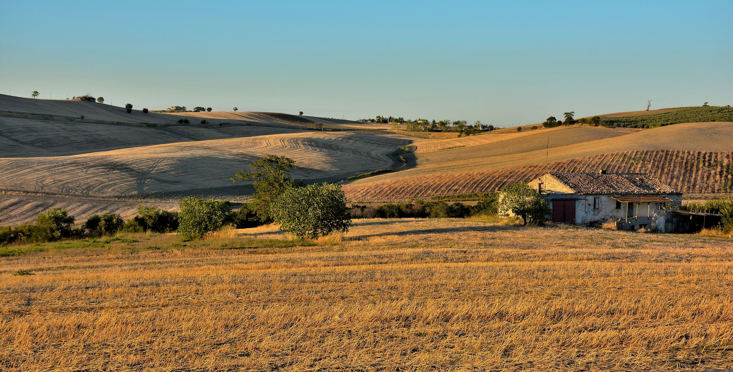 Each House is a Palace